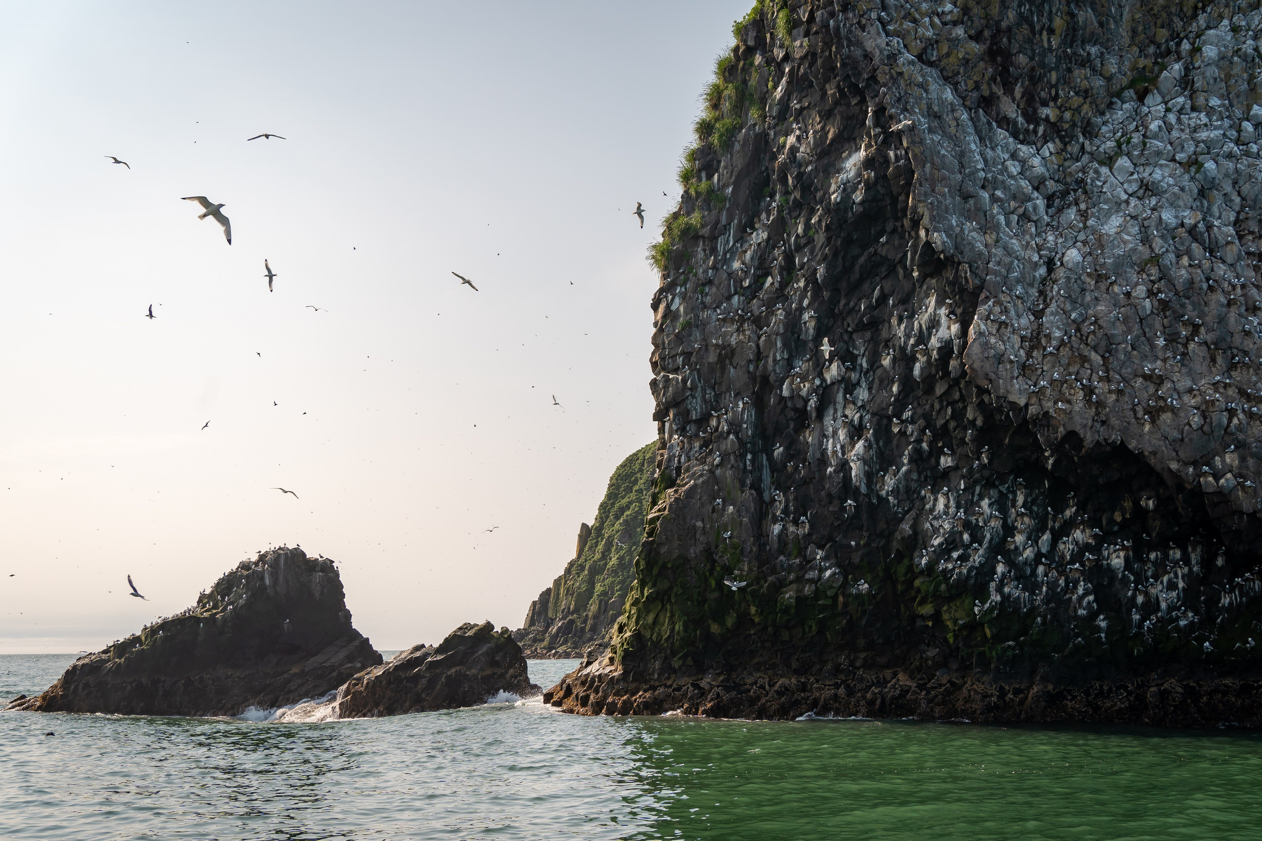 Камчатка. Семейный фотограф Варвара Сорока в городе Москве