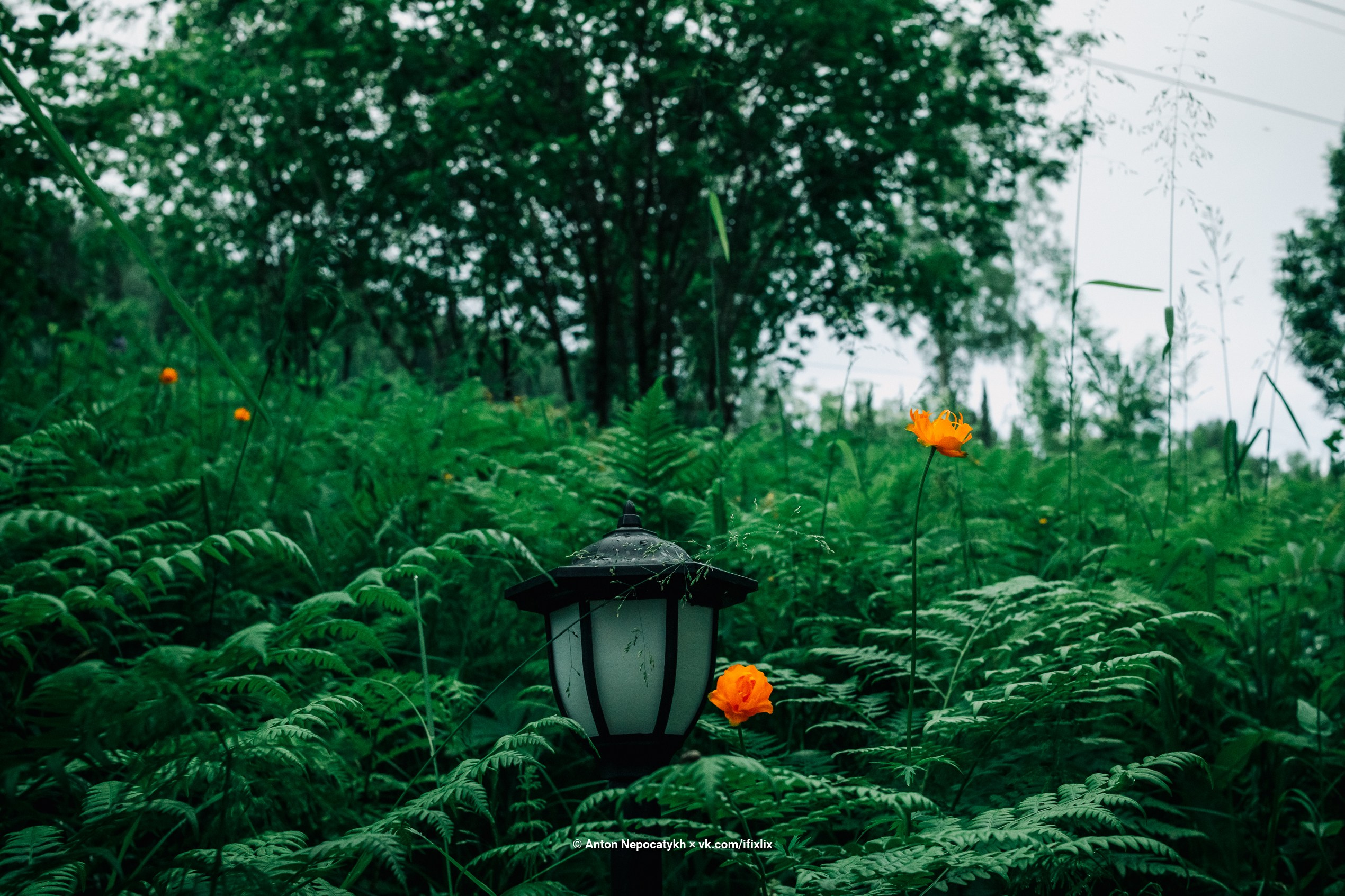 Фотографии Шерегеш. Антон Непочатых — Большой мужской фотограф