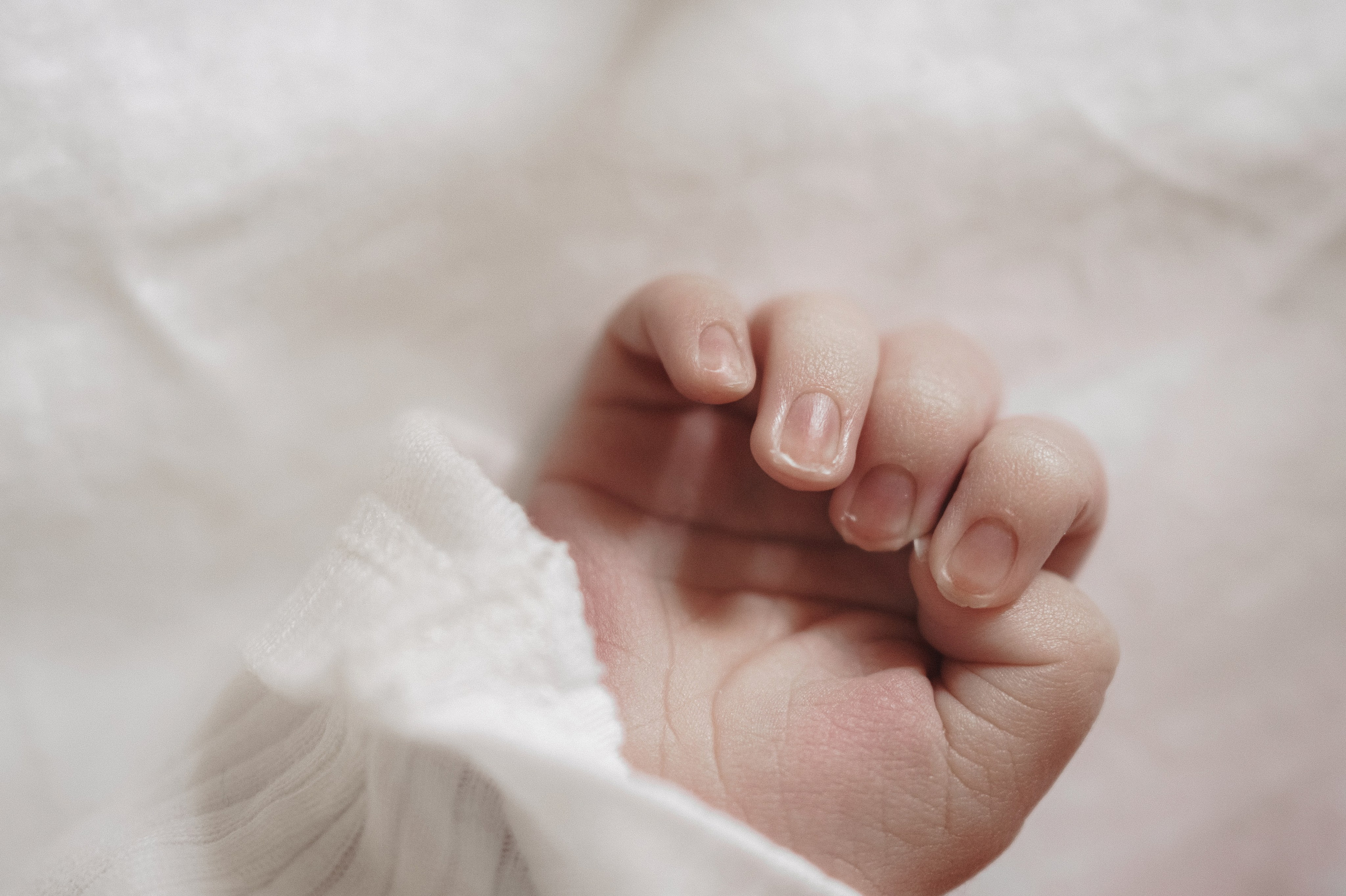 Выписка. Свадебный и семейный фотограф Афанасьева Анна в Кисловодске