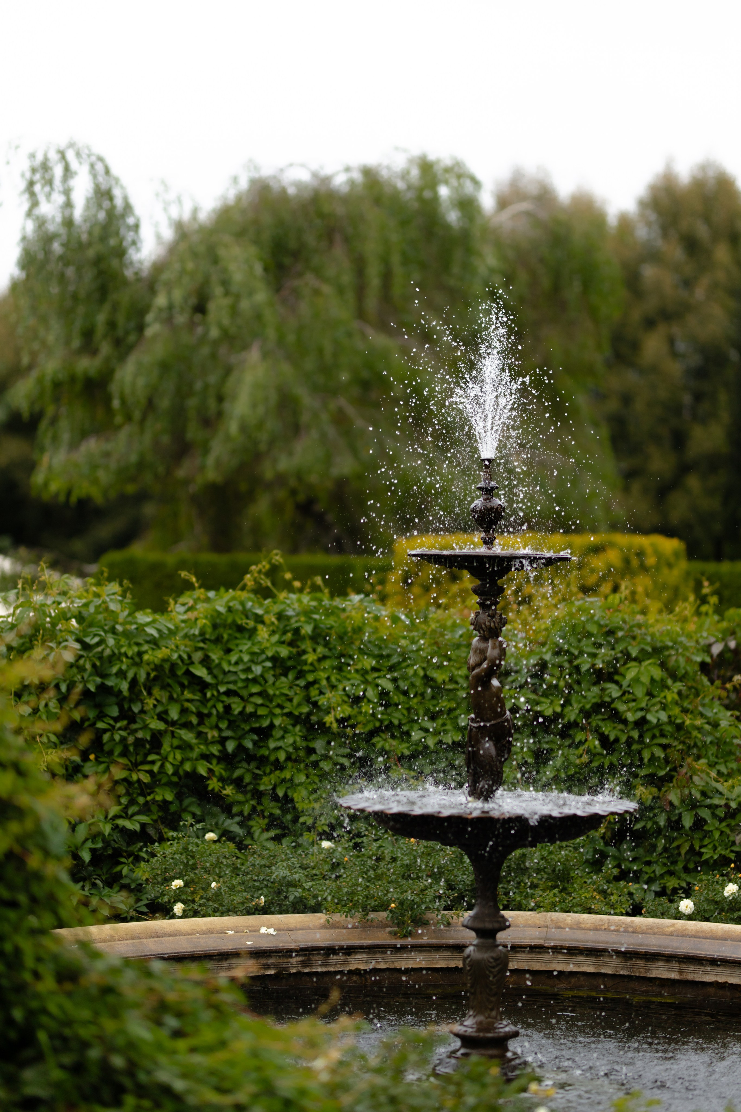 Ростислав и Вика. Свадебный фотограф Анна Бабахина