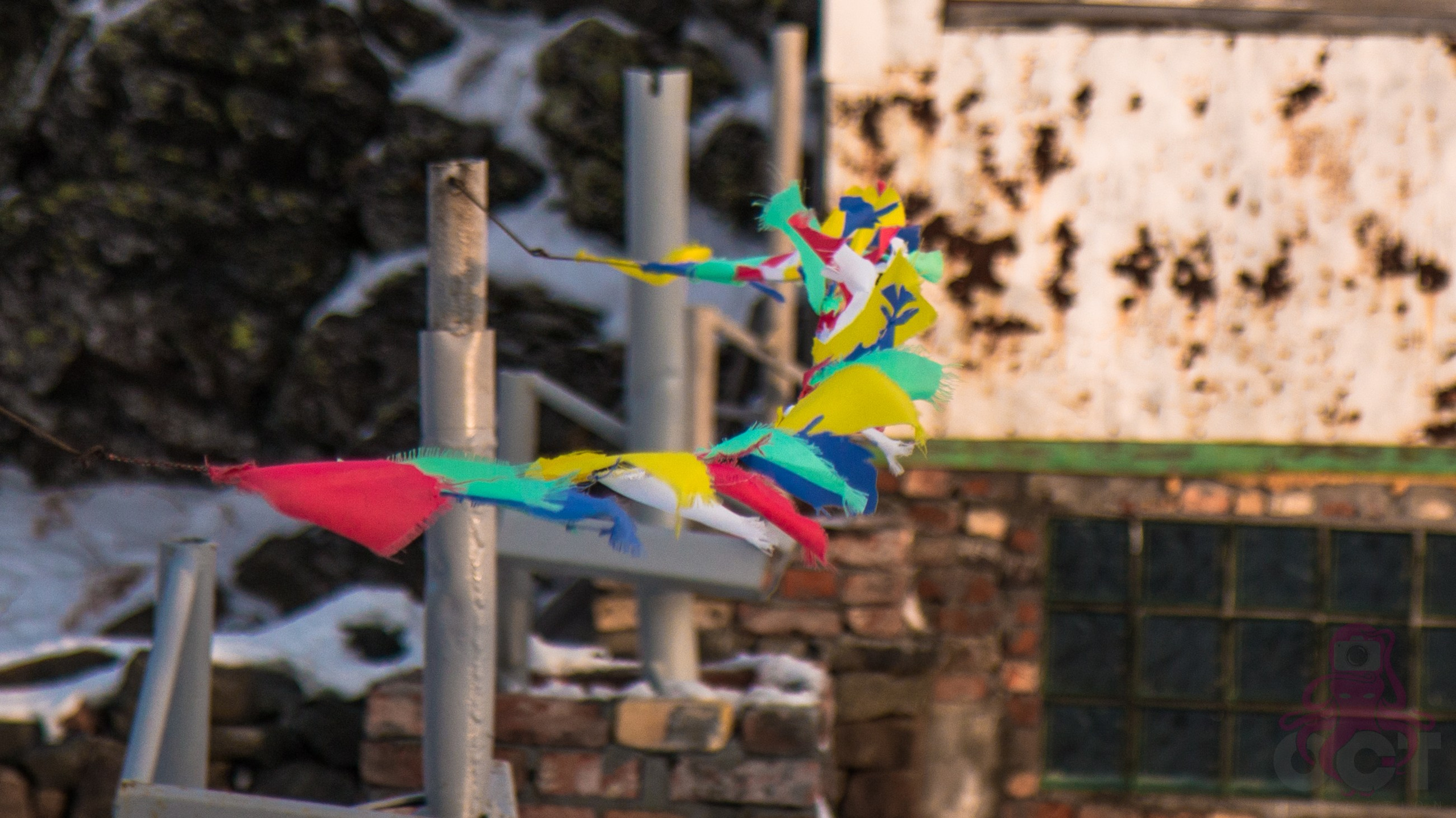 Буддистский монастырь Шад Тчуп Линг. Предметный и репортажный фотограф Алексей Кротов