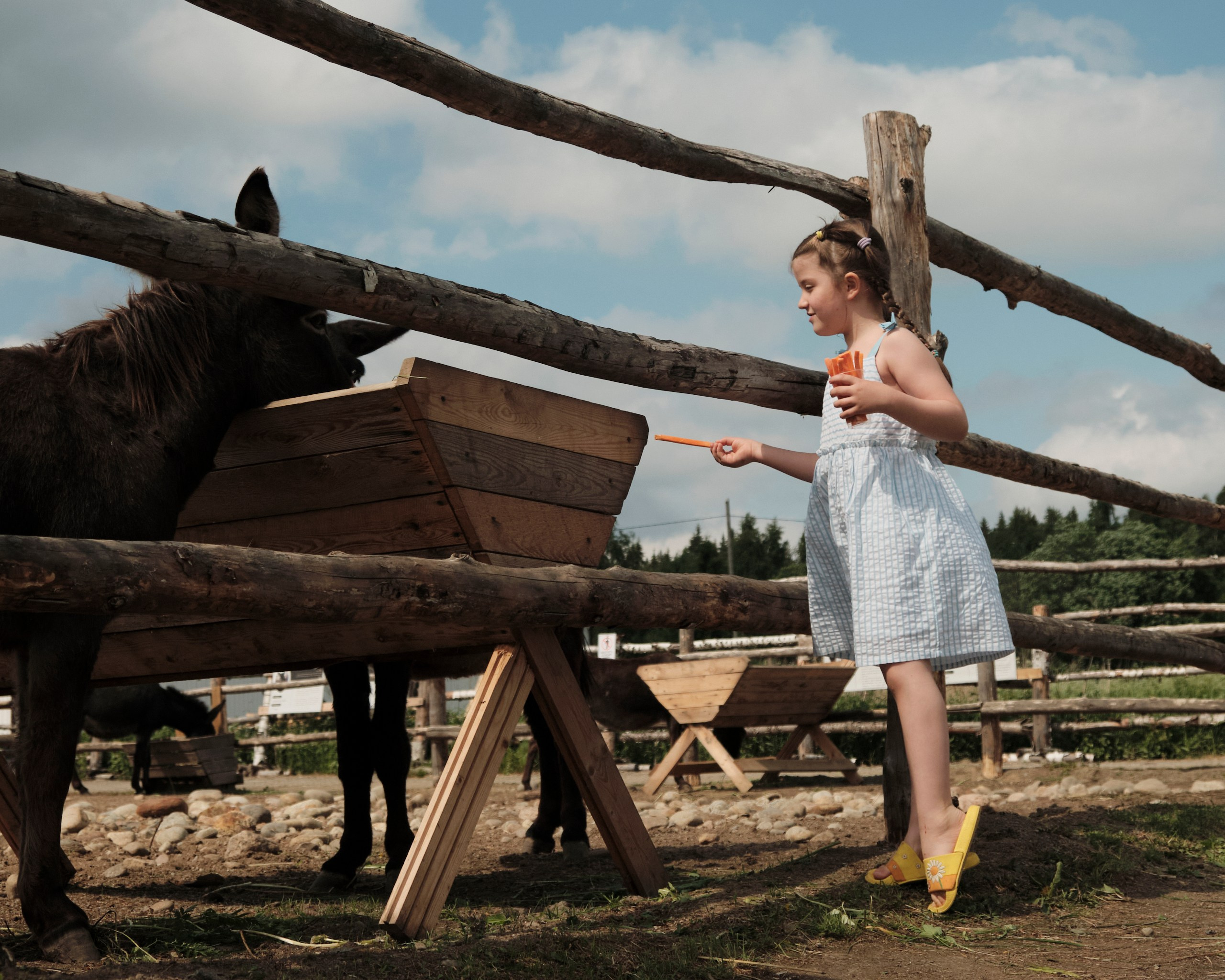 Июнь в Карелии. Фотограф Даниил Богомолов, Санкт-Петербург