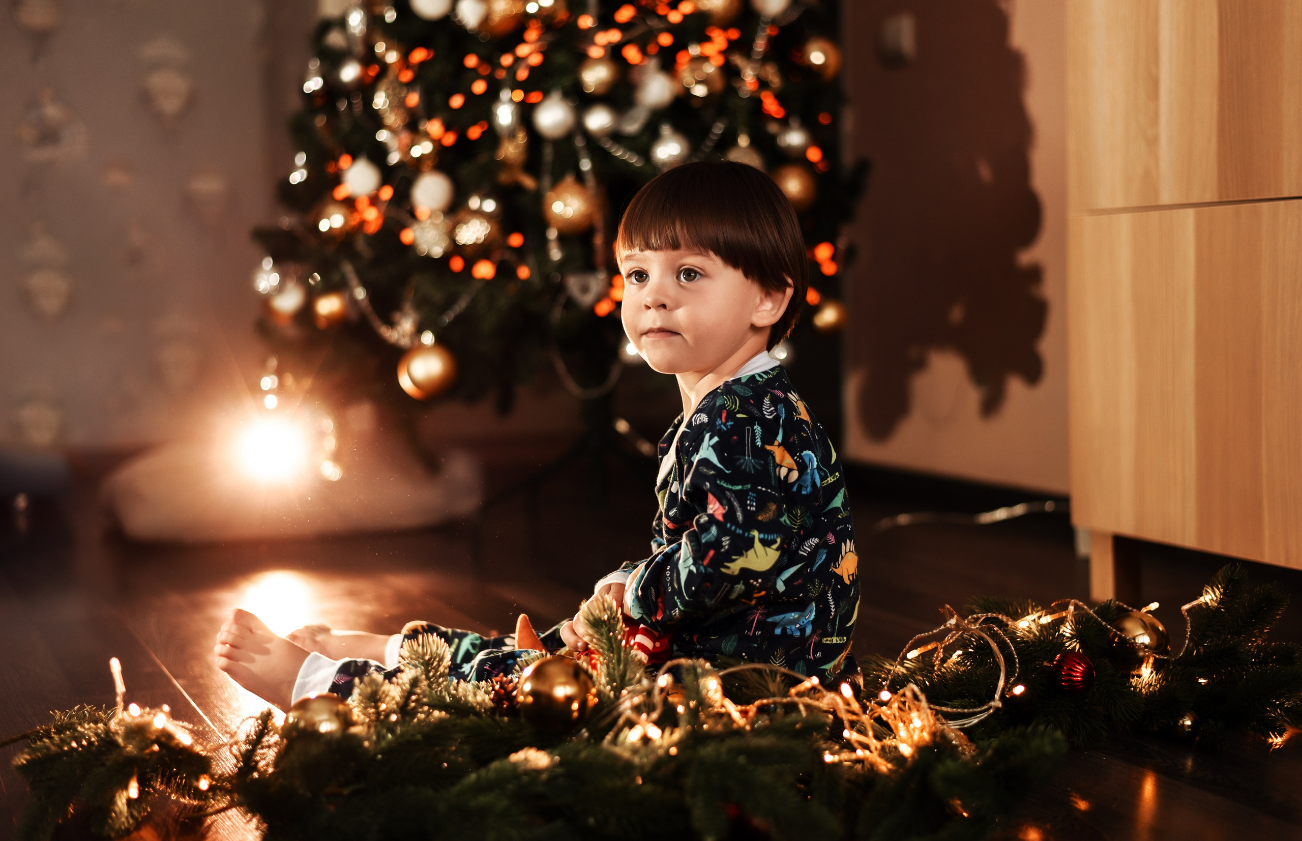 Домашняя новогодняя. Свадебный, семейный, детский, контент фотограф в Омске Максим Ильин