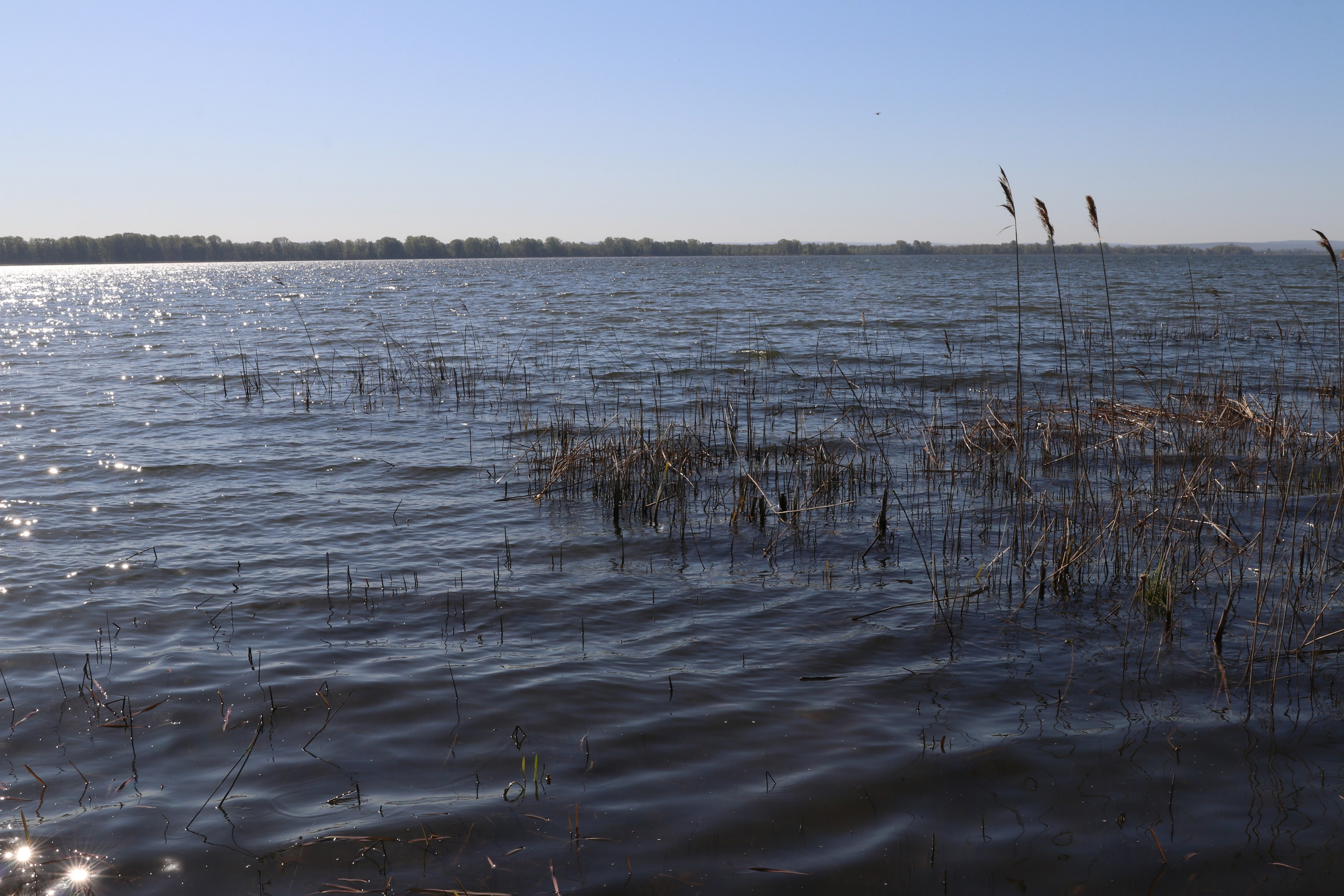 Велопоход Уфа — Мелеуз. Май 2024. Путешественник-фотограф из Санкт-Петербурга Татьяна Свистулина