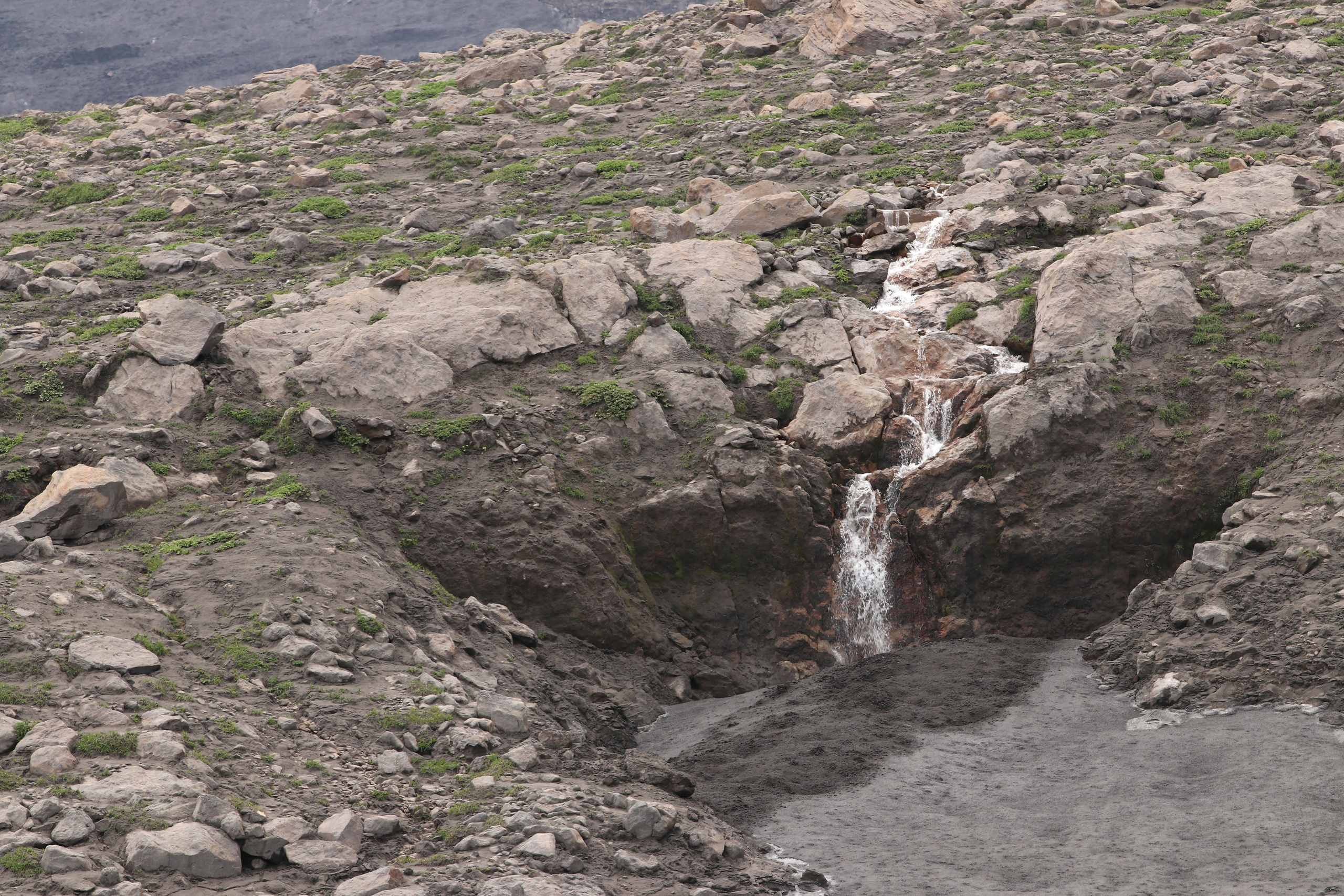 Камчатка и о. Парамушир. Июль 2024. Путешественник-фотограф из Санкт-Петербурга Татьяна Свистулина