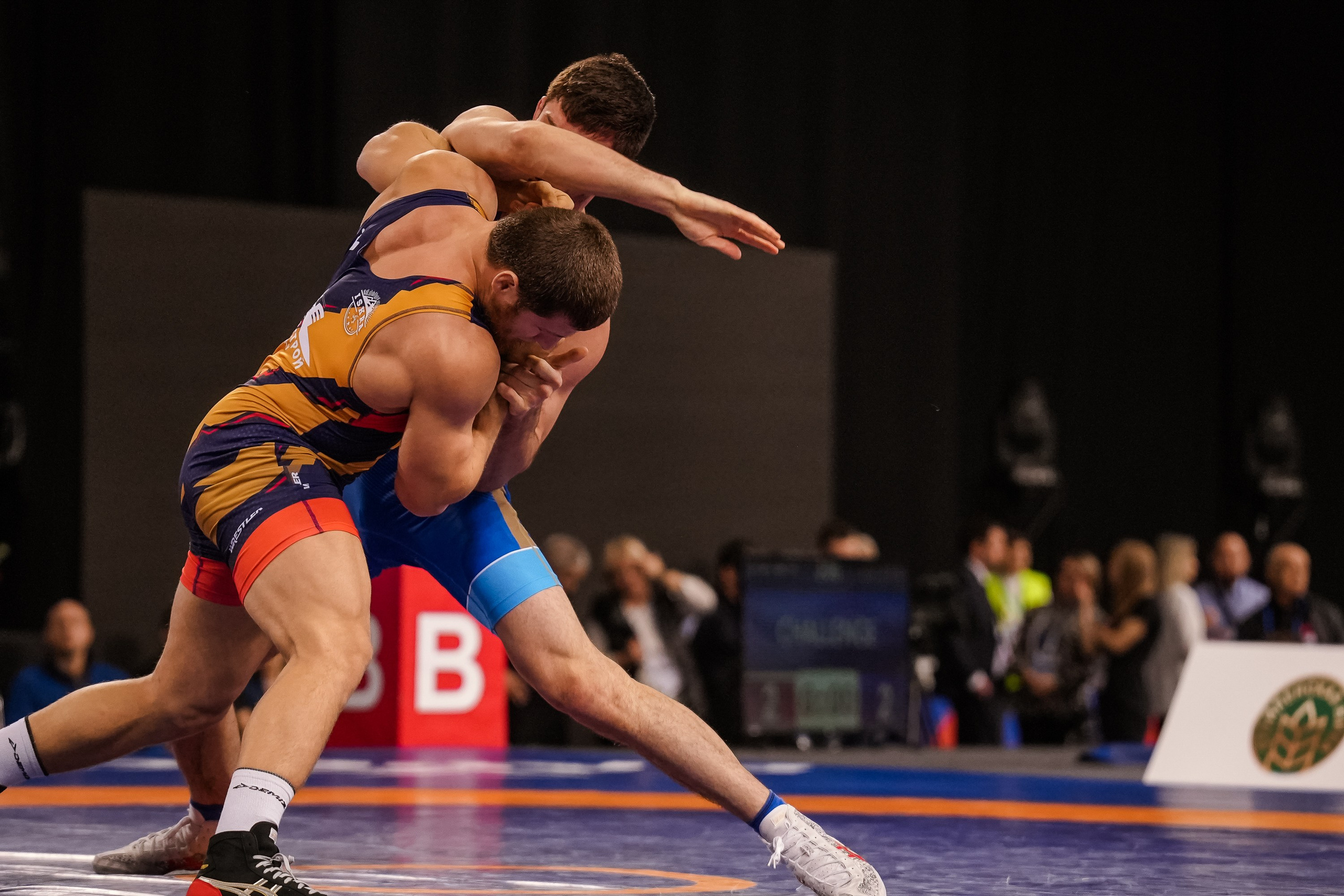 Кубок Ивана Ярыгина 2024 фото / Ivan Yarygin Cup 2024 photos. Фотограф Анна Герман. Красноярск