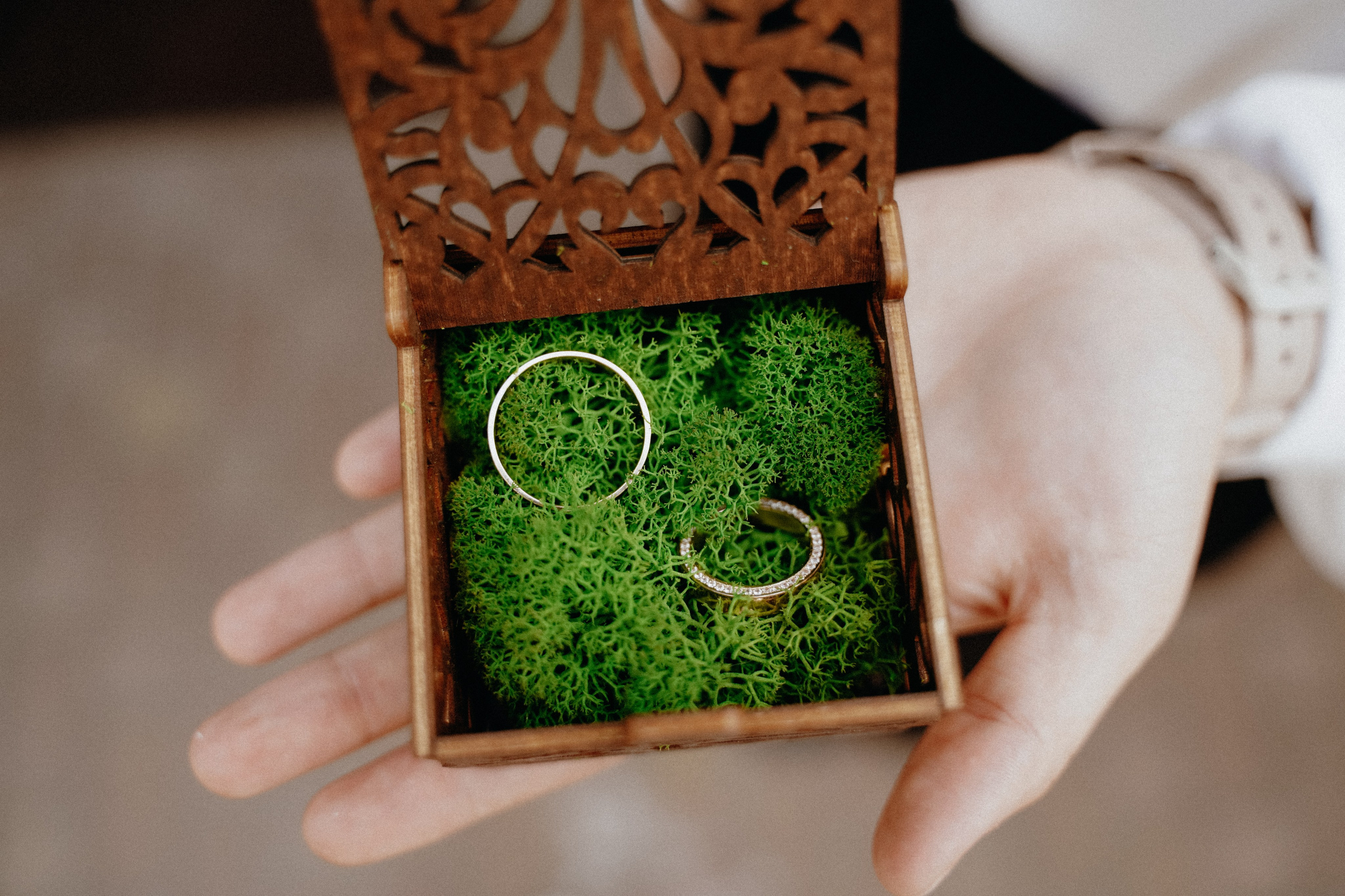 Свадьба в Ростове-на-Дону Ильи и Кристины. Фотограф в Ростове-на-Дону и Краснодаре Роман Кудрявцев