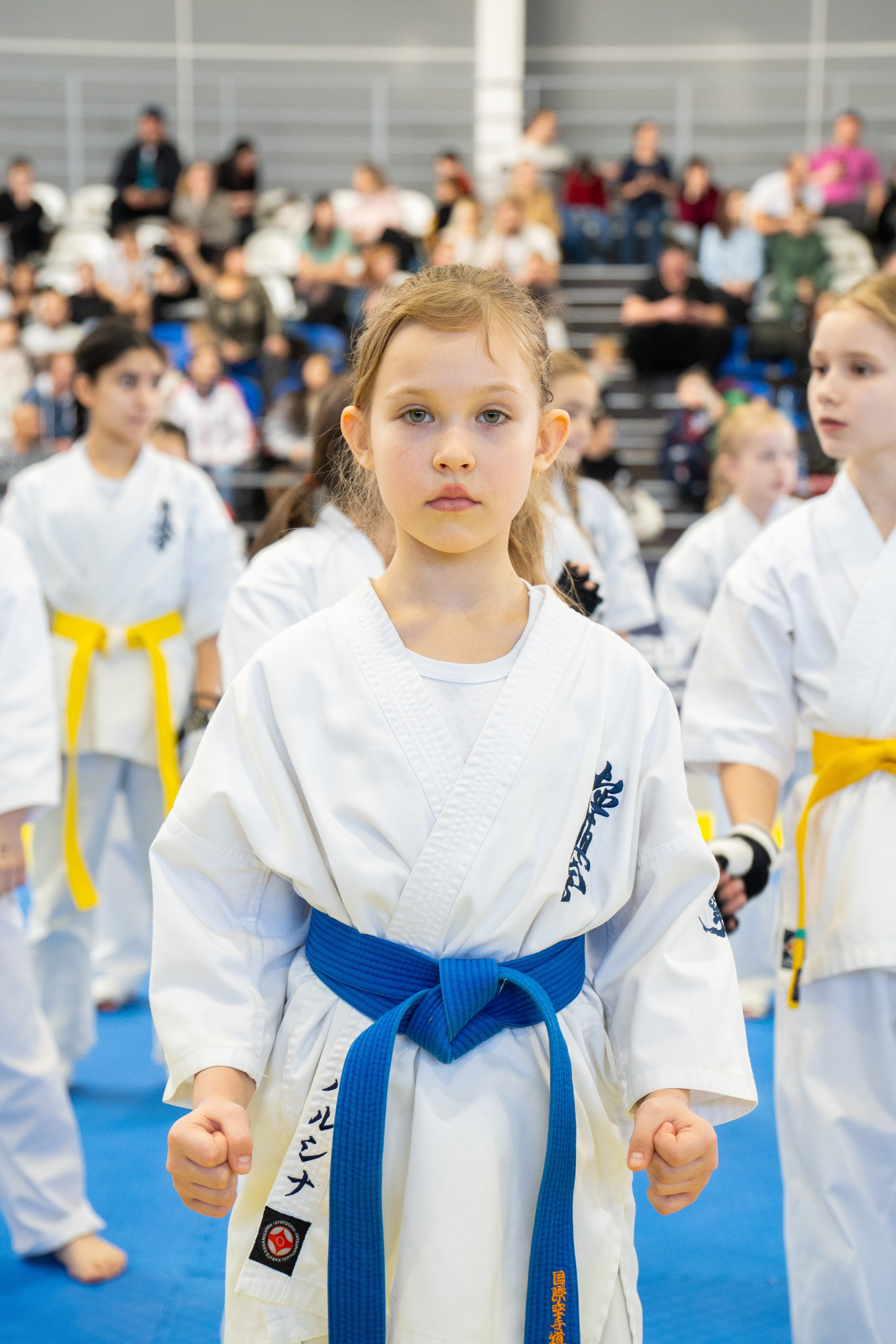 Девочка в кимоно с синим поясом на турнире по тхэквондо в Хабаровске. Репортажное спортивное фото от Дмитрия Дергачёва, фотографа в Хабаровске