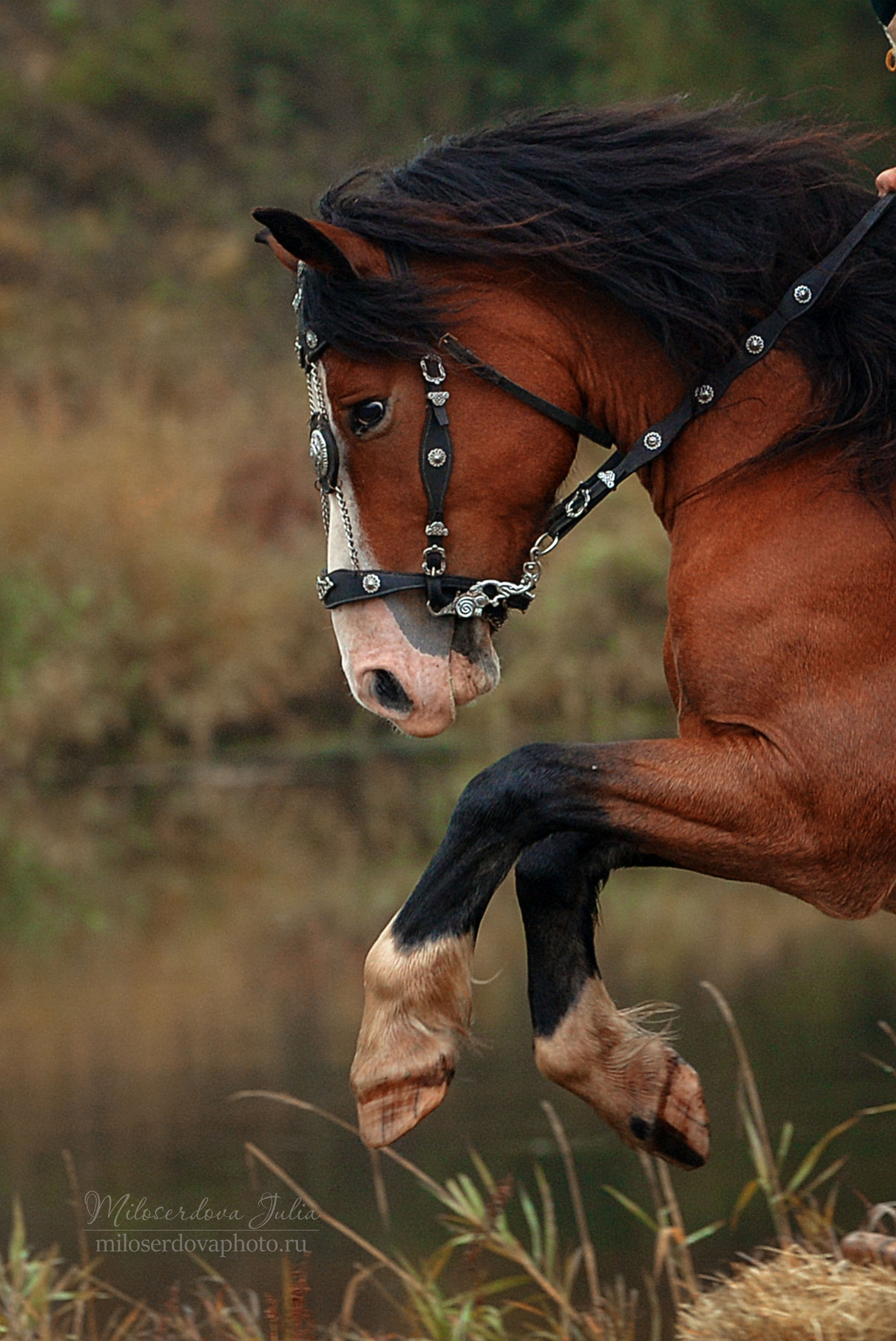 Аванпост осень. Фотограф Юлия Милосердова