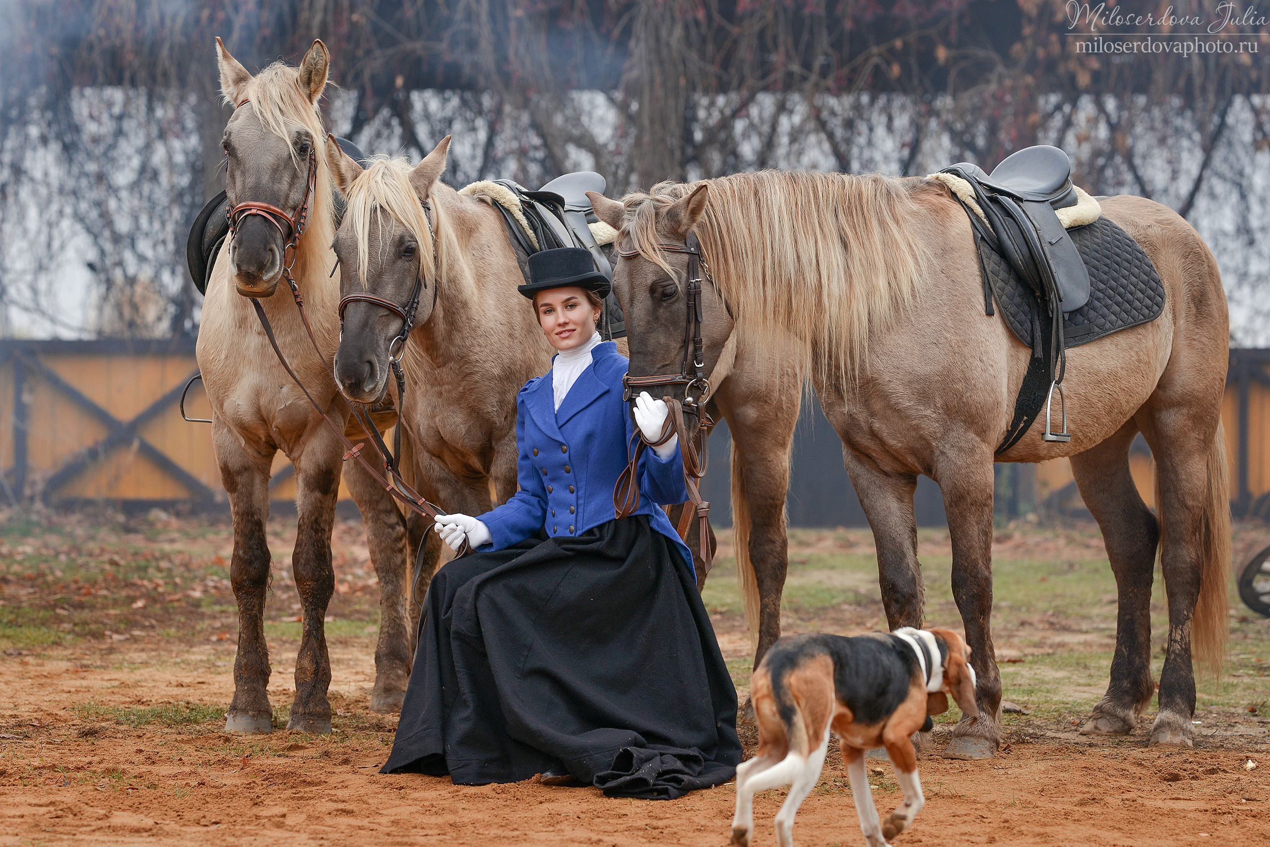 Аванпост осень. Фотограф Юлия Милосердова