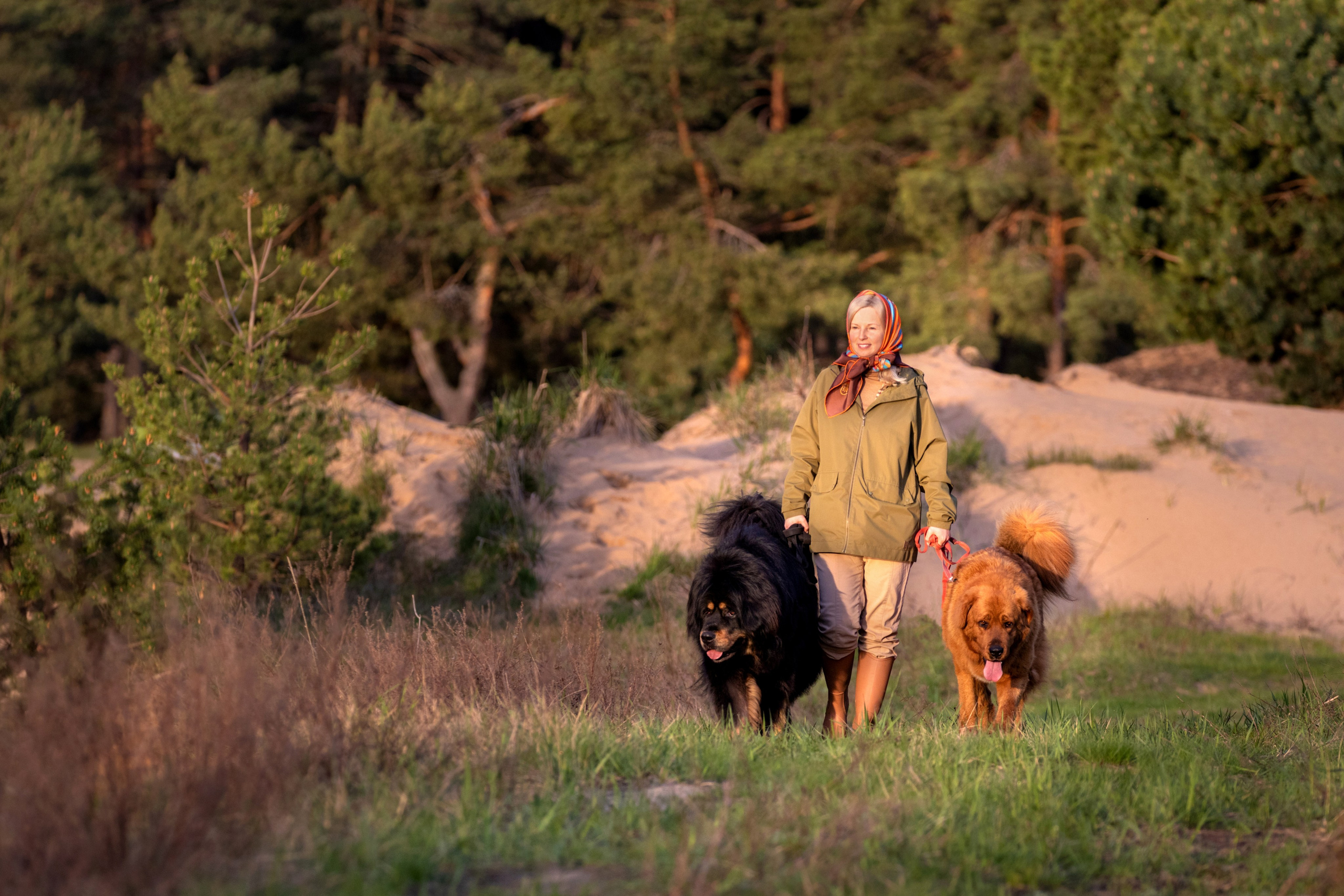 Прогулки. Фотограф — анималист в Москве и области Ольга Петракова