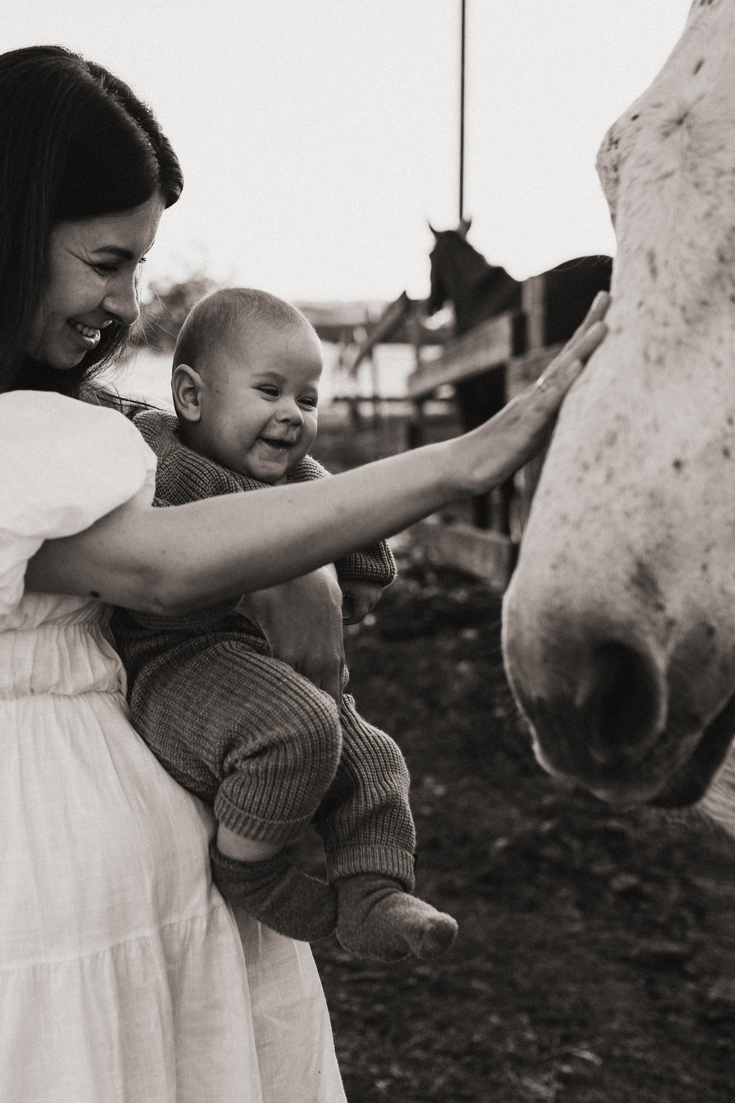 Закат на ферме. Семейный фотограф в Новороссийске и Анапе Александра Яковлева