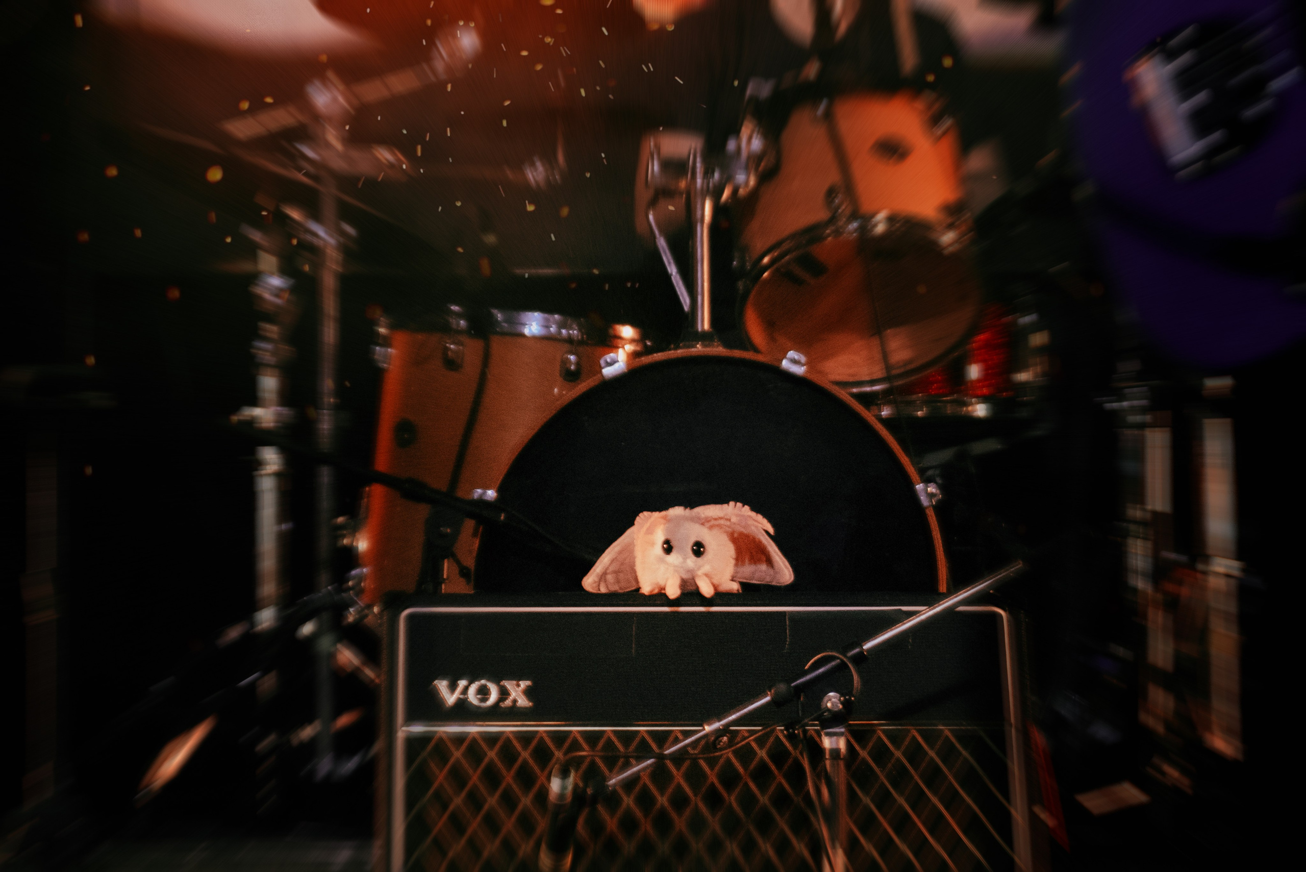 Special G. Кира Молко — Концертный фотограф в Санкт-Петербурге