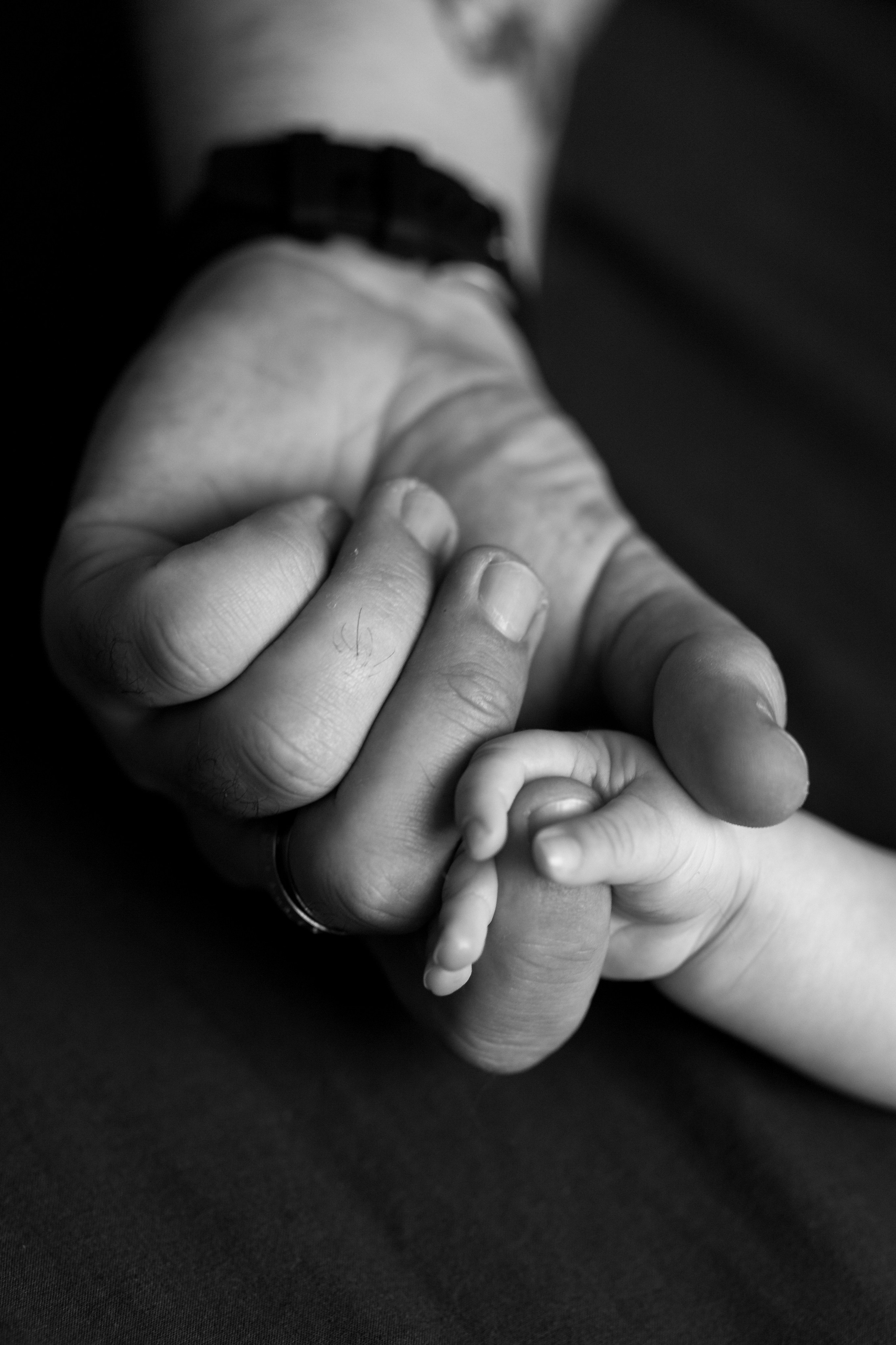 Съёмка у вас дома. Фотограф Пятигорск и КМВ