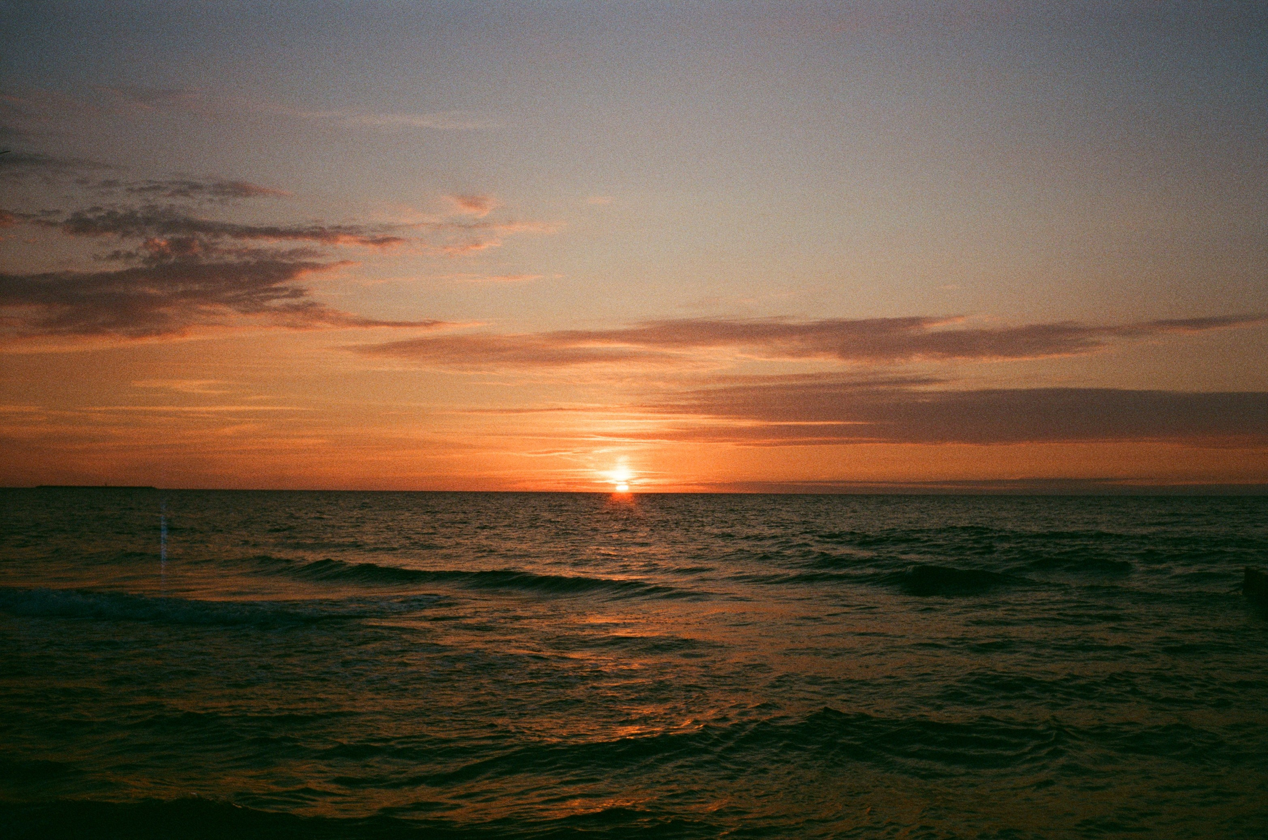 Белоконь Алексей. Фотография на пленку. Семья и путешествия