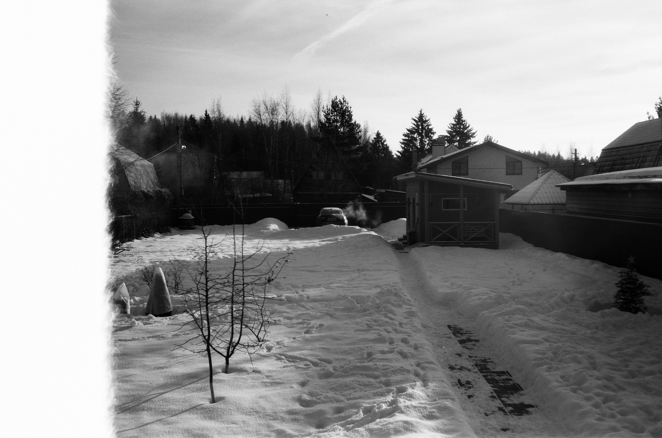 Minox 35GT / Тасма Т-25 ISO 100 / Давыдовское, Лукино