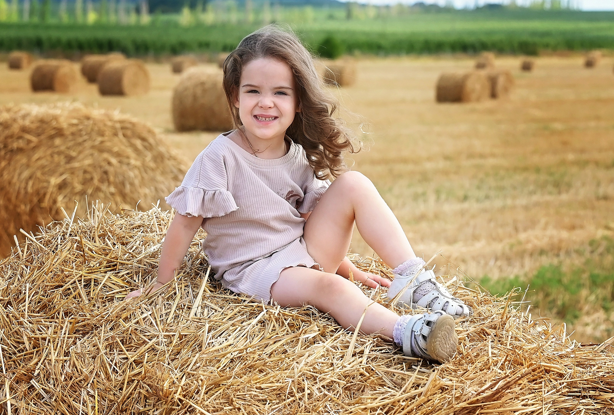 Сено. Главная