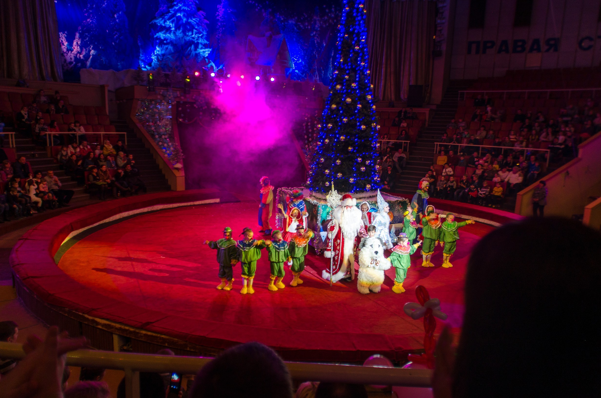 Цирк. Фотограф в РФ и ЛНР Юлия Федосеева