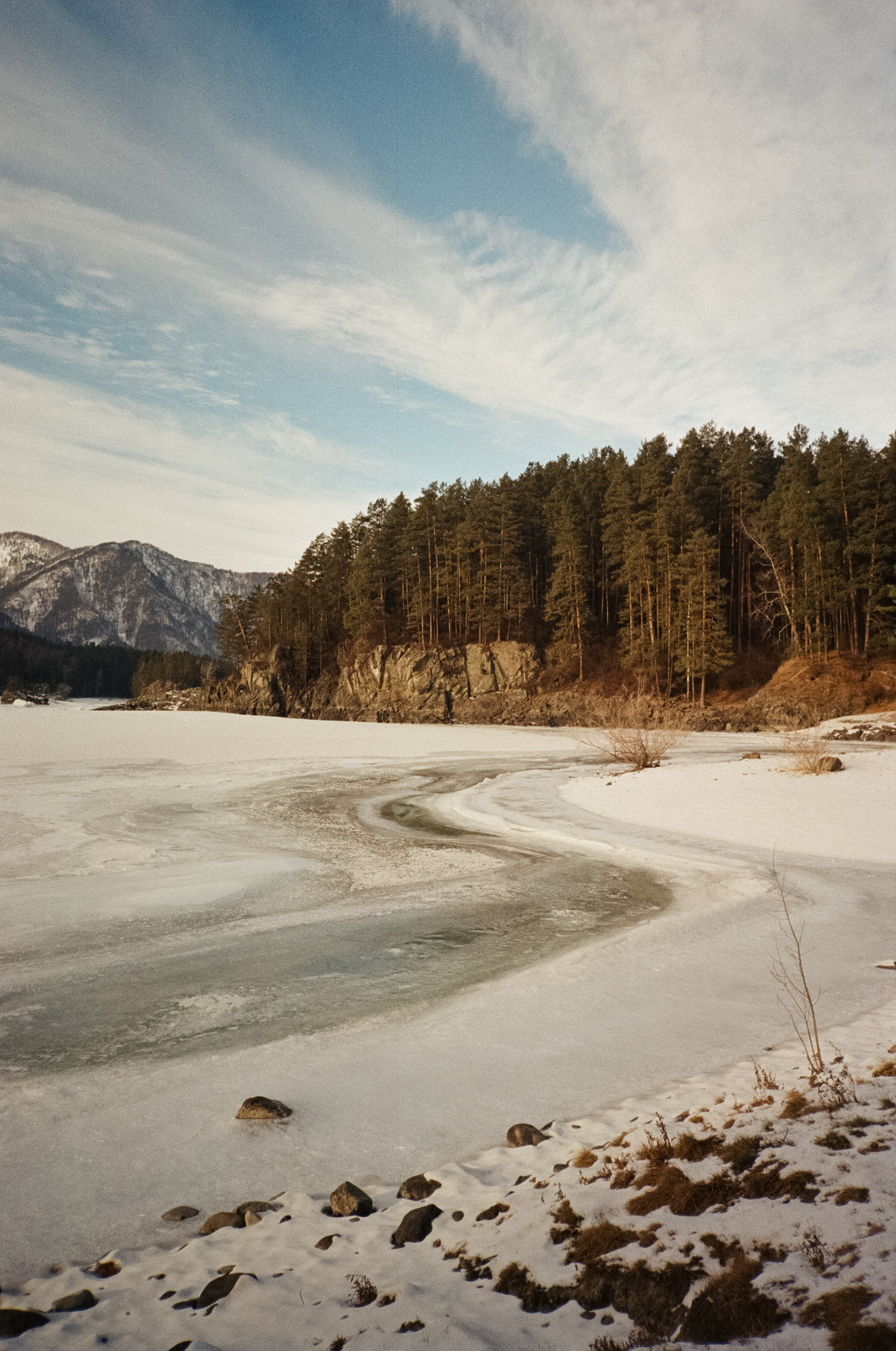 От Кызыл-Таша до Чемала. Техас, горы, поля и коровы. Фотограф-документалист Мария Осокина