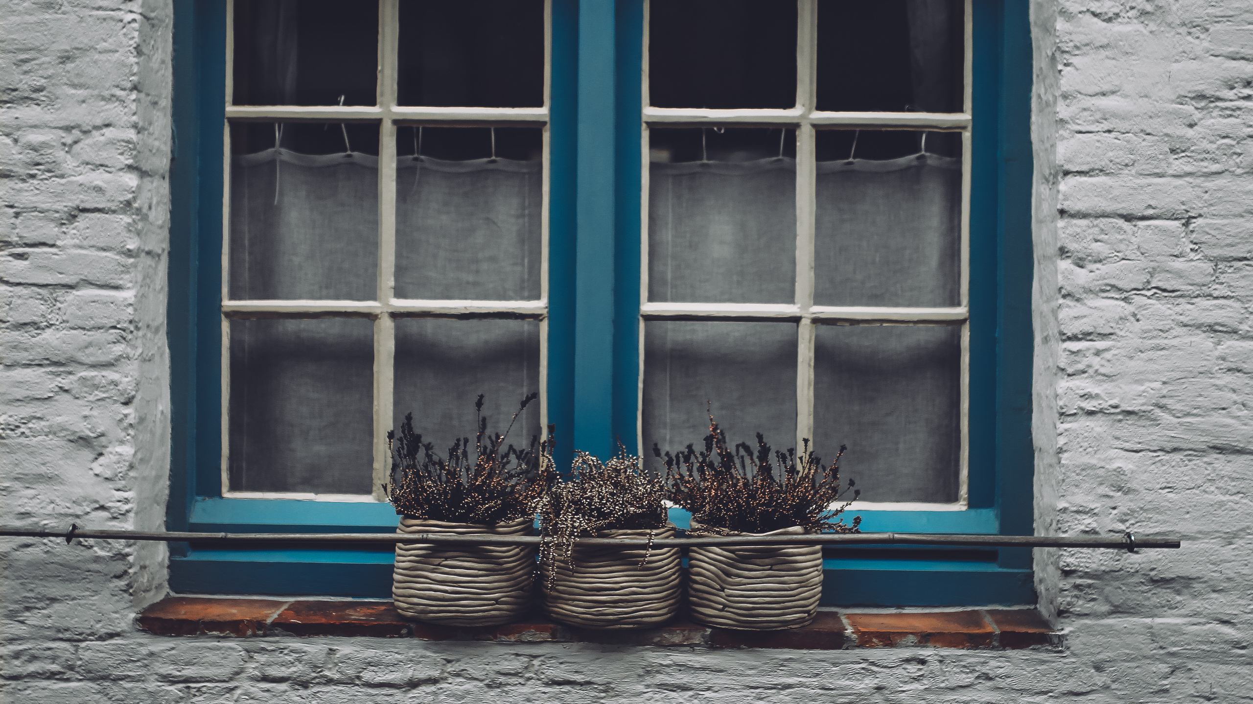 Немо-33. Детский и семейный фотограф Малых Ольга г. Салехард