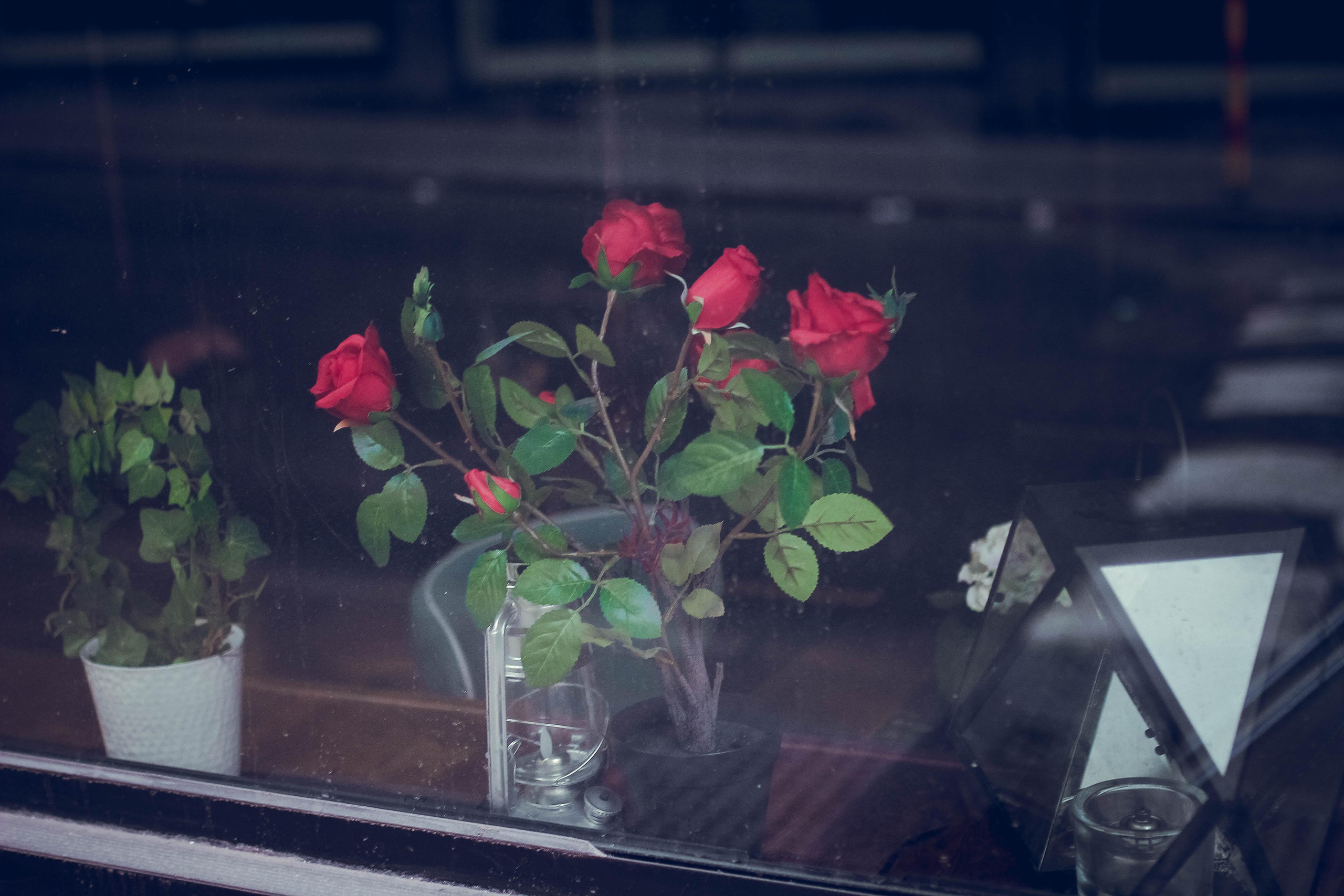 Девушка с татуировкой дракона. Детский и семейный фотограф Малых Ольга г. Салехард