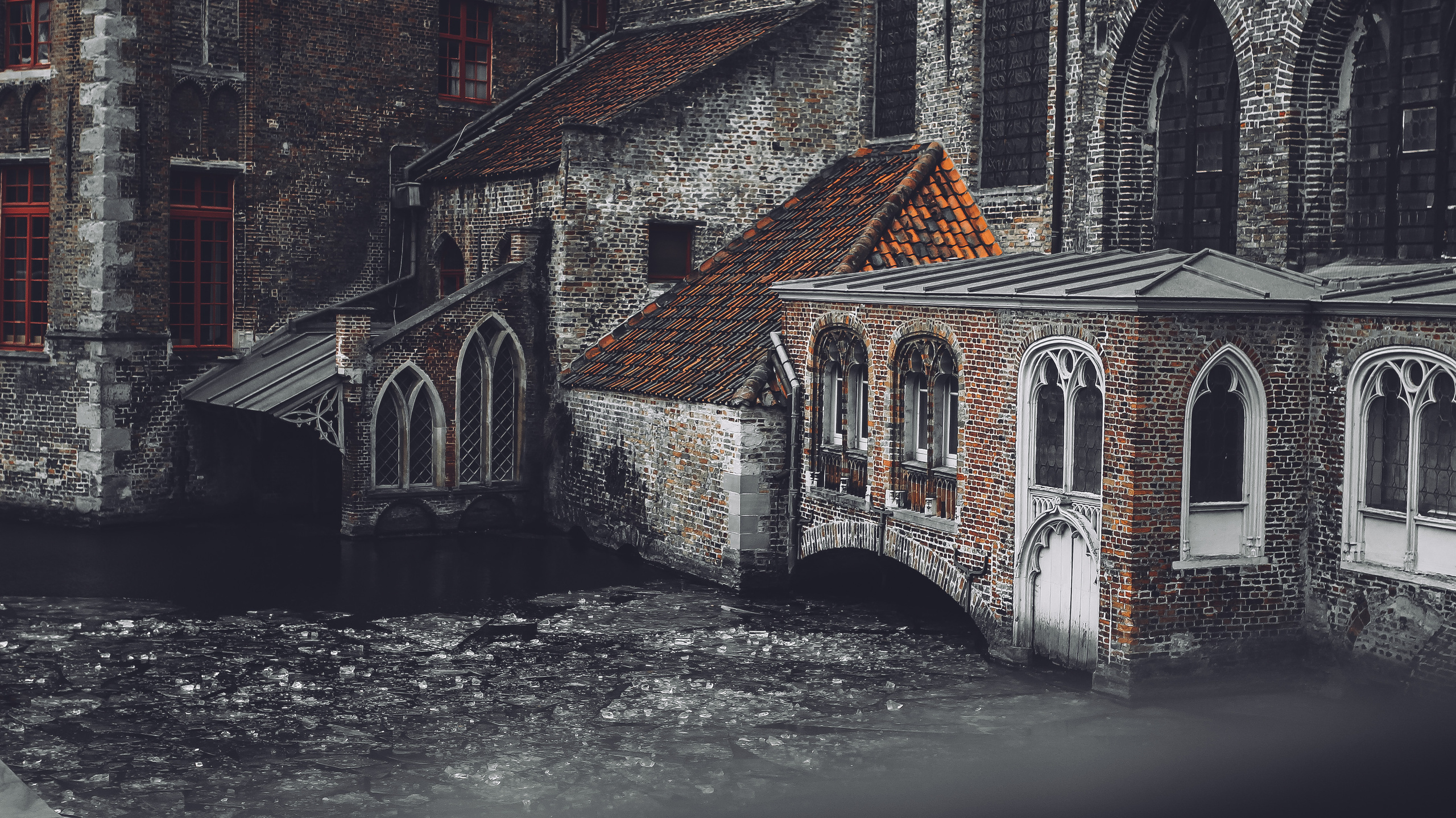 Немо-33. Детский и семейный фотограф Малых Ольга г. Салехард