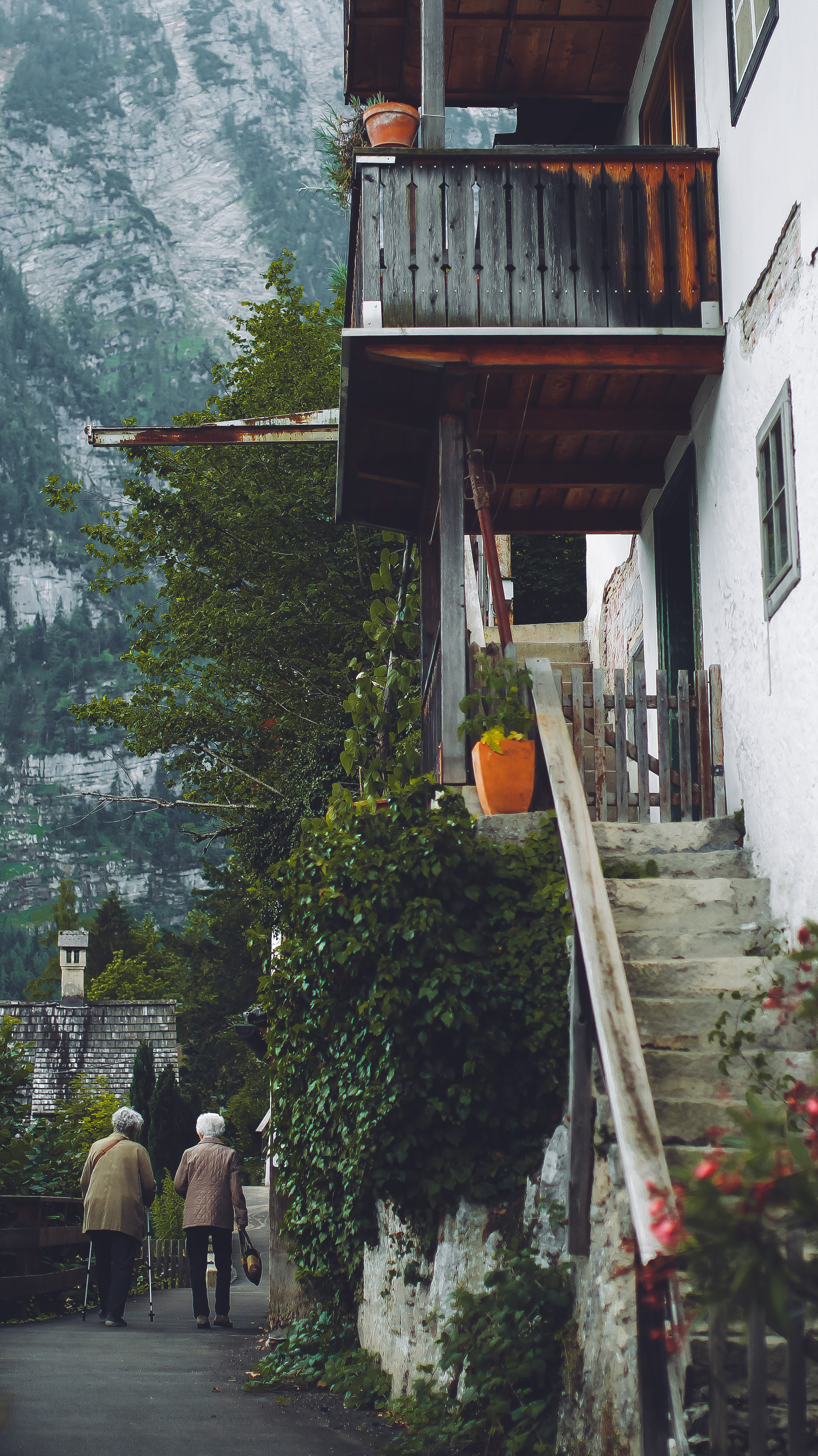 «Белое золото» альпийских гор. Детский и семейный фотограф Малых Ольга г. Салехард