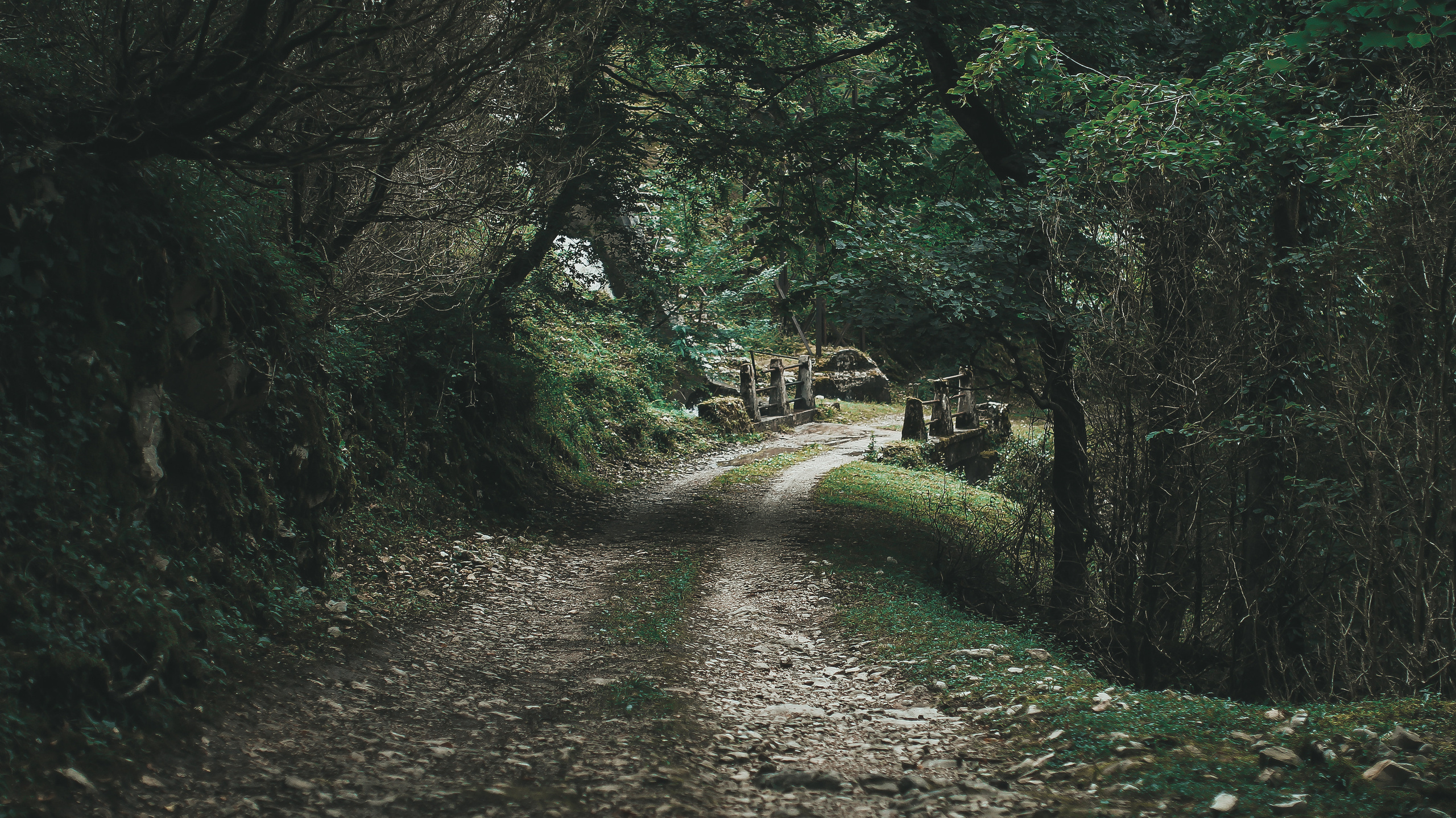 Гамарджоба генацвале. Детский и семейный фотограф Малых Ольга г. Салехард