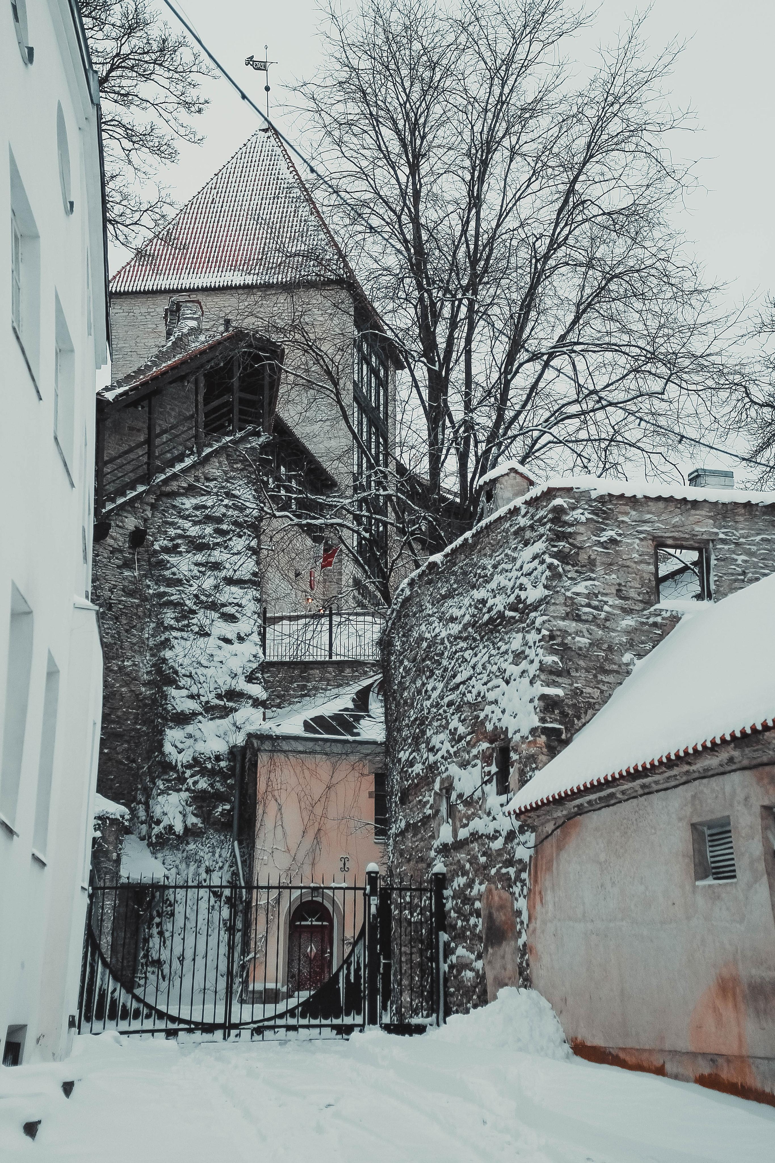 Эстония. Детский и семейный фотограф Малых Ольга г. Салехард