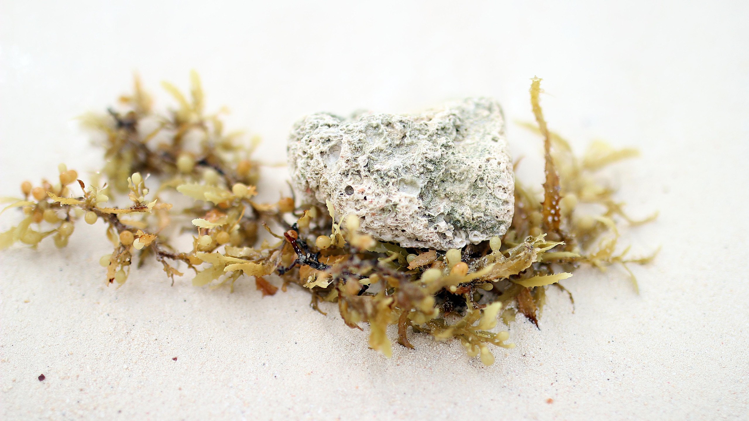 Mexico. Детский и семейный фотограф Малых Ольга г. Салехард