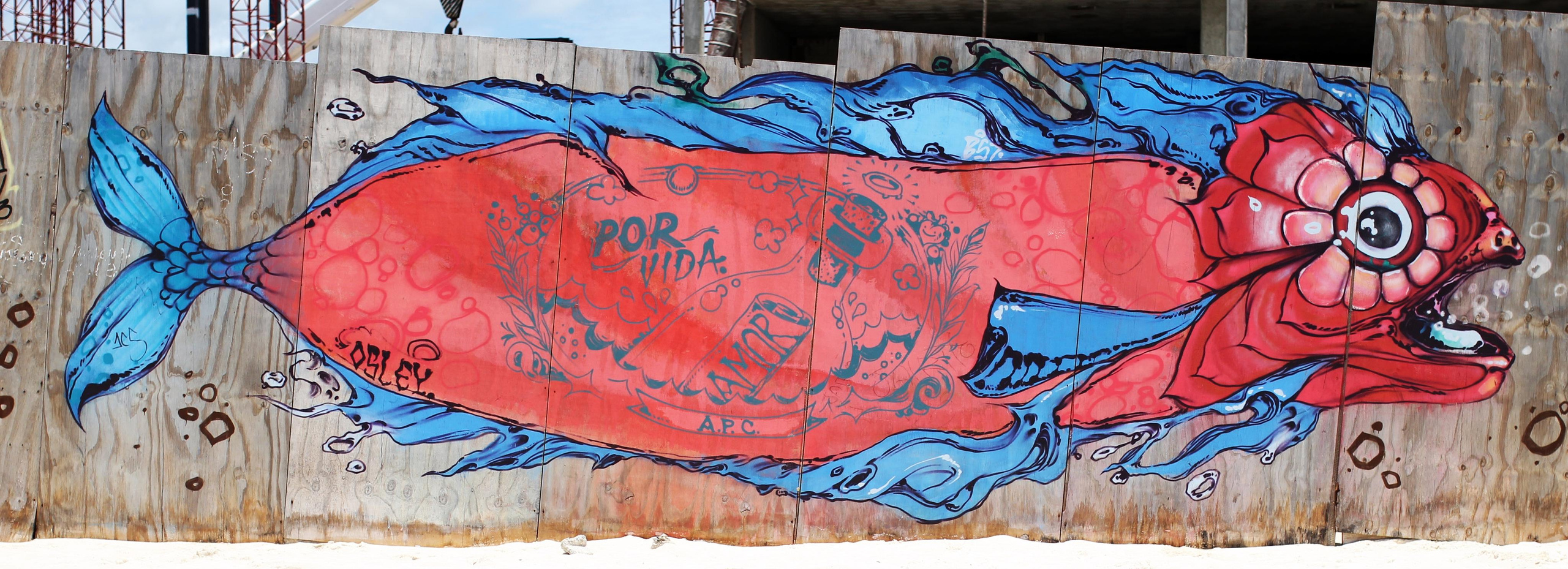 Mexico. Детский и семейный фотограф Малых Ольга г. Салехард