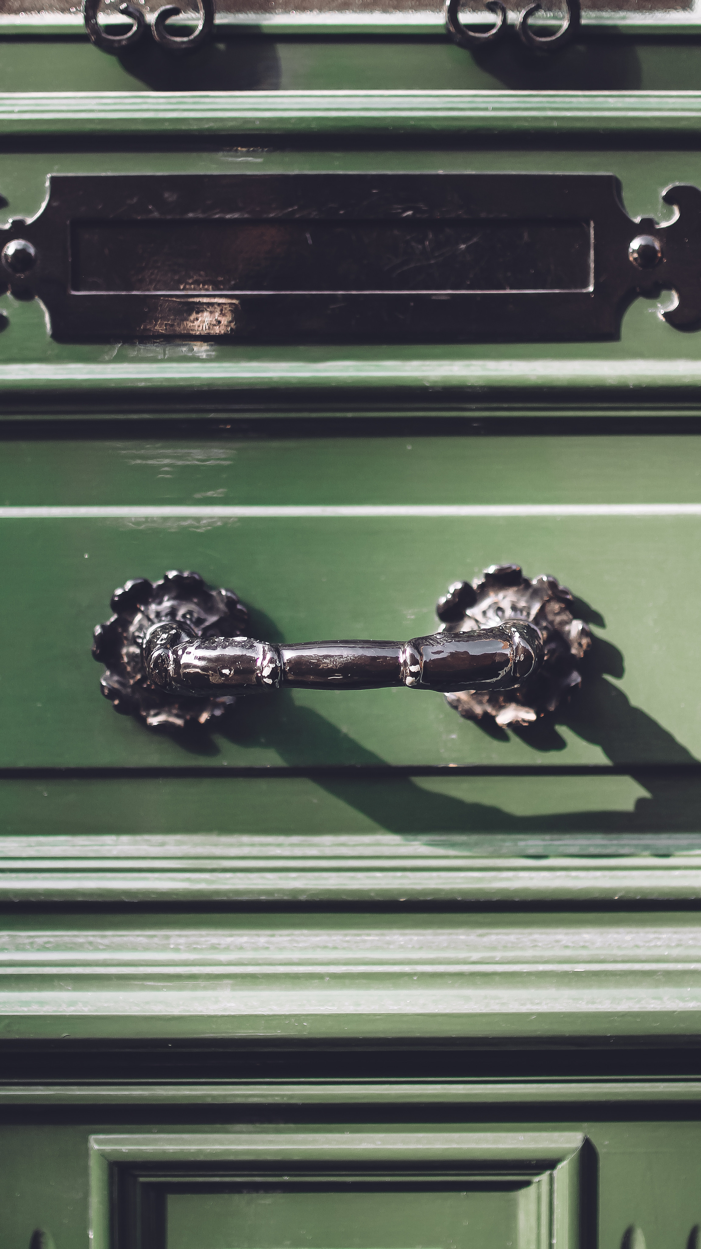 Немо-33. Детский и семейный фотограф Малых Ольга г. Салехард