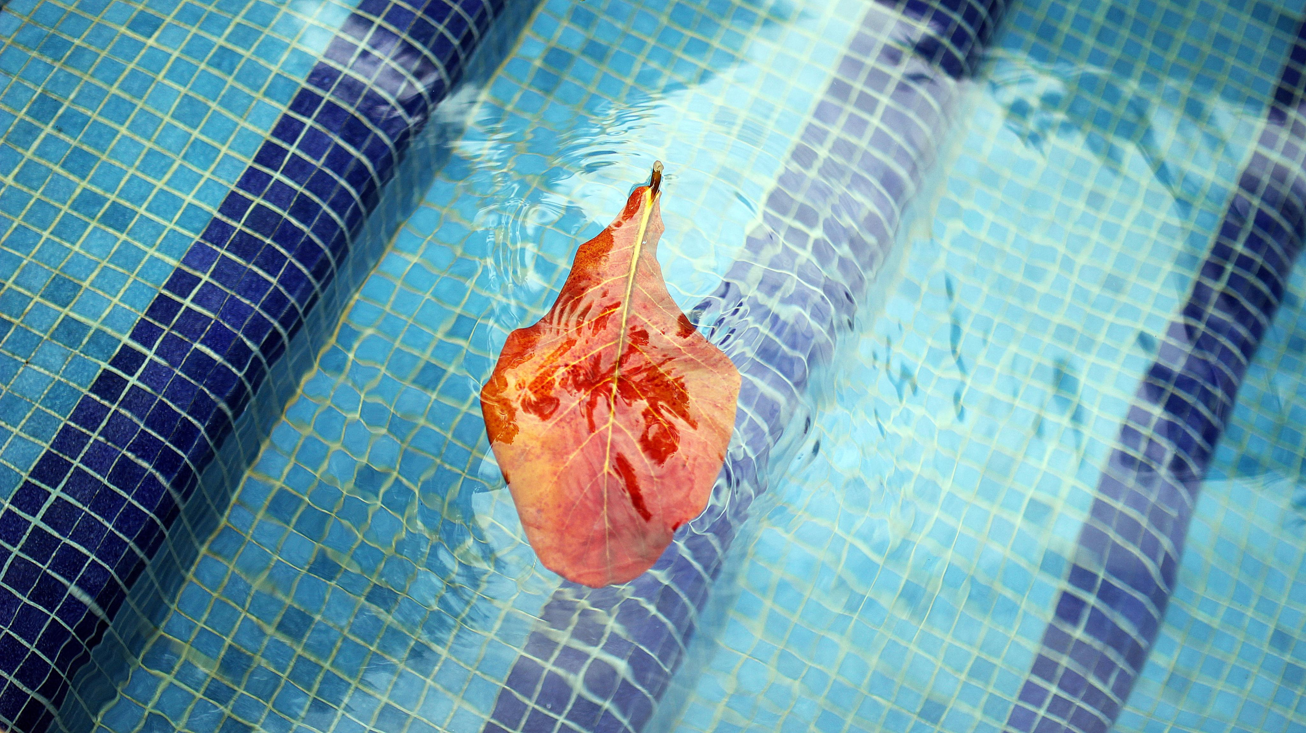 Mexico. Детский и семейный фотограф Малых Ольга г. Салехард