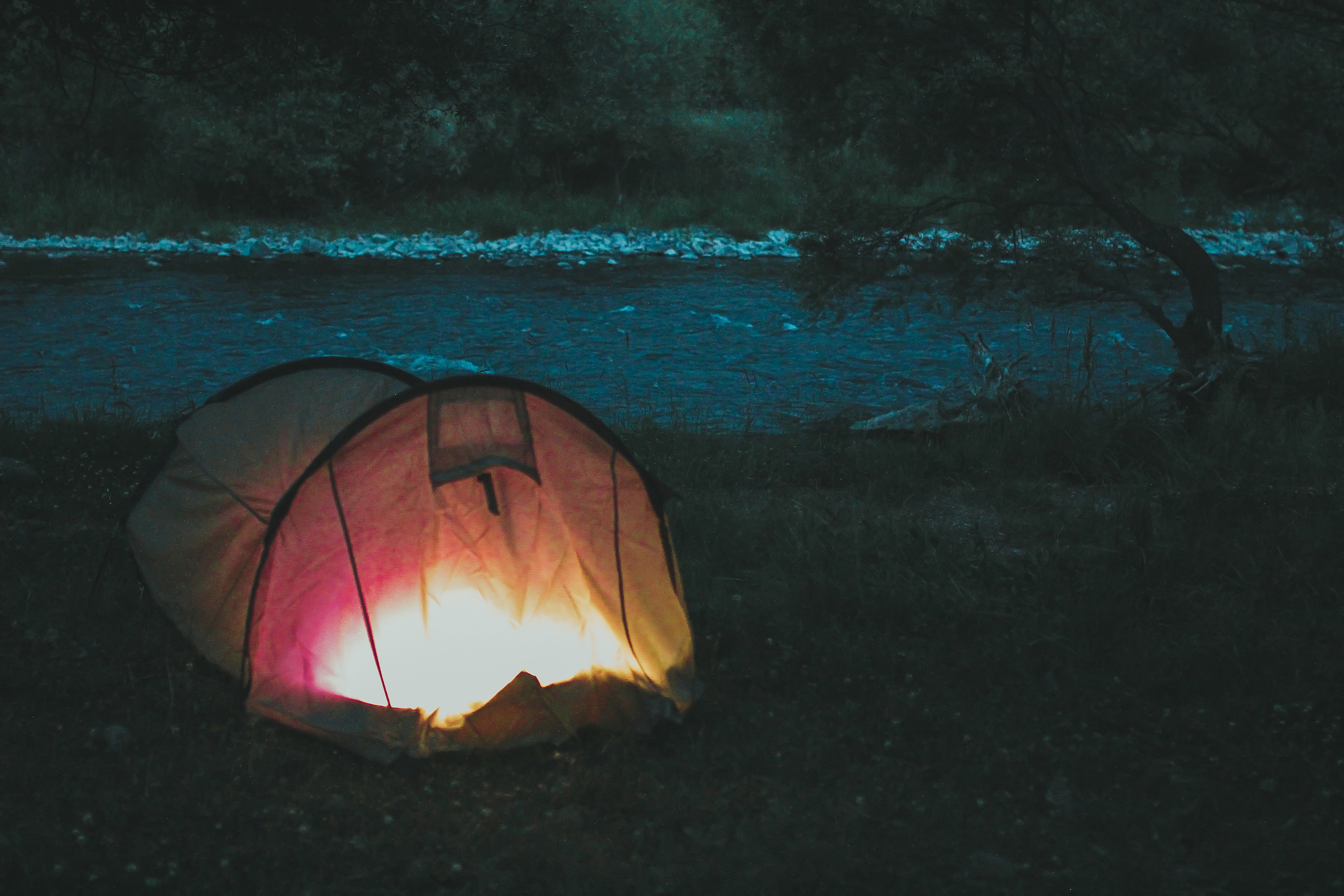 Гамарджоба генацвале. Детский и семейный фотограф Малых Ольга г. Салехард