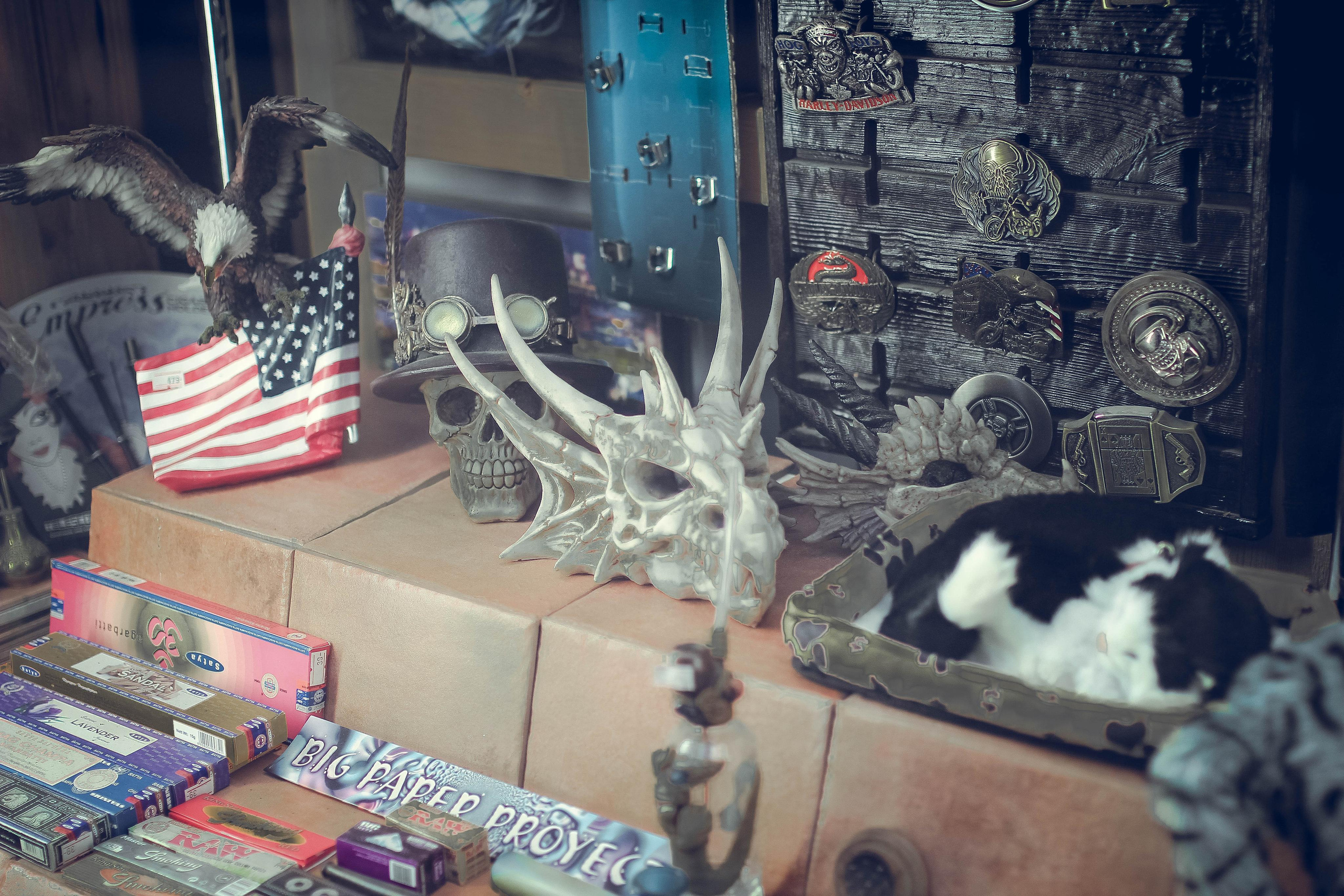 Девушка с татуировкой дракона. Детский и семейный фотограф Малых Ольга г. Салехард