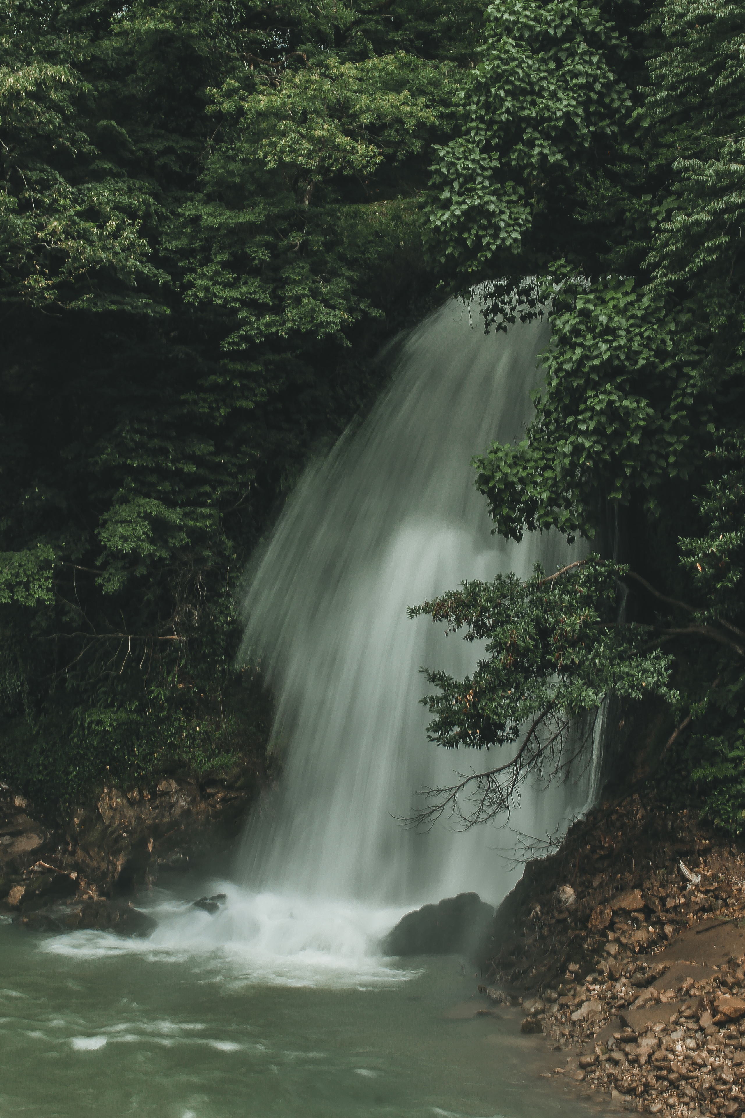 Гамарджоба генацвале. Детский и семейный фотограф Малых Ольга г. Салехард