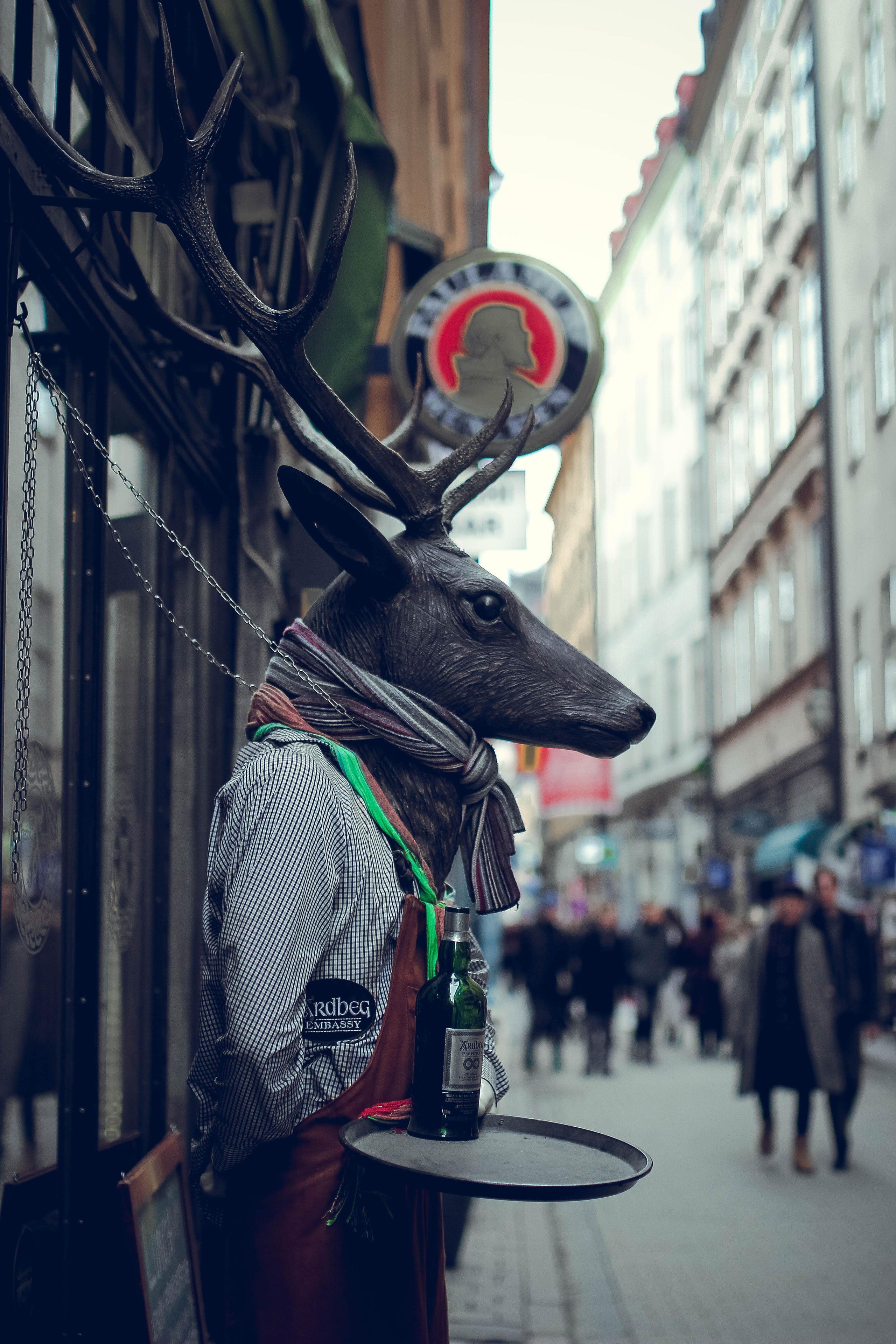 Девушка с татуировкой дракона. Детский и семейный фотограф Малых Ольга г. Салехард