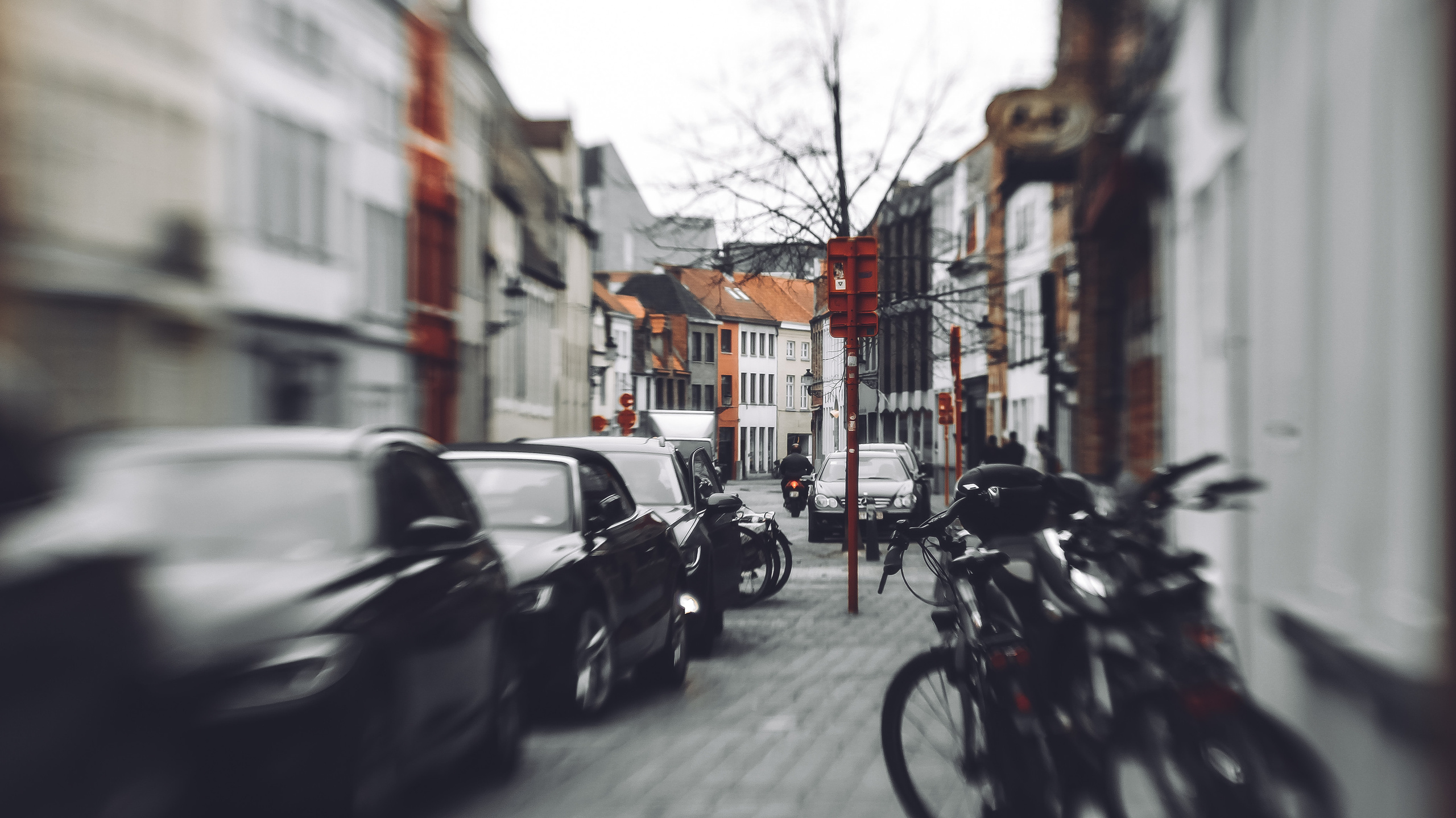 Немо-33. Детский и семейный фотограф Малых Ольга г. Салехард