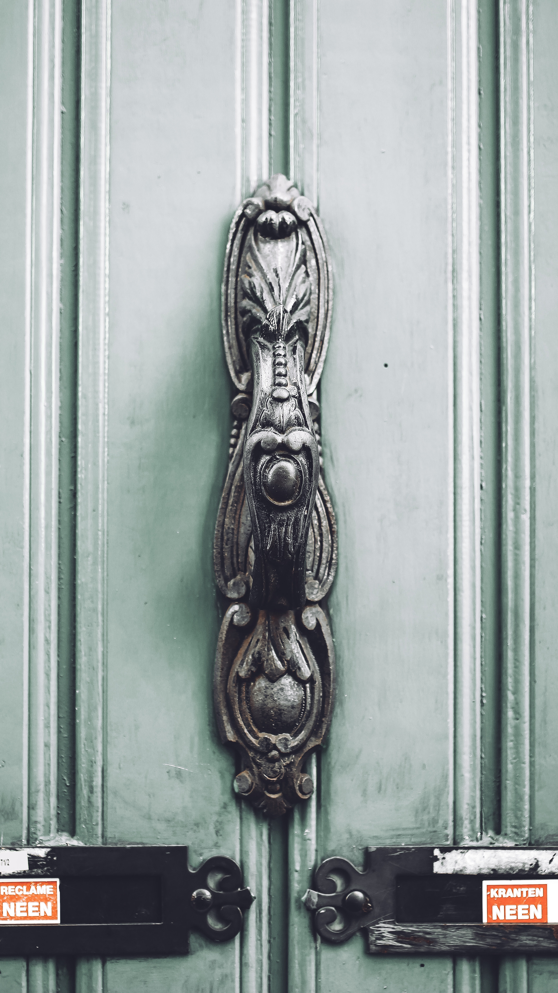 Немо-33. Детский и семейный фотограф Малых Ольга г. Салехард