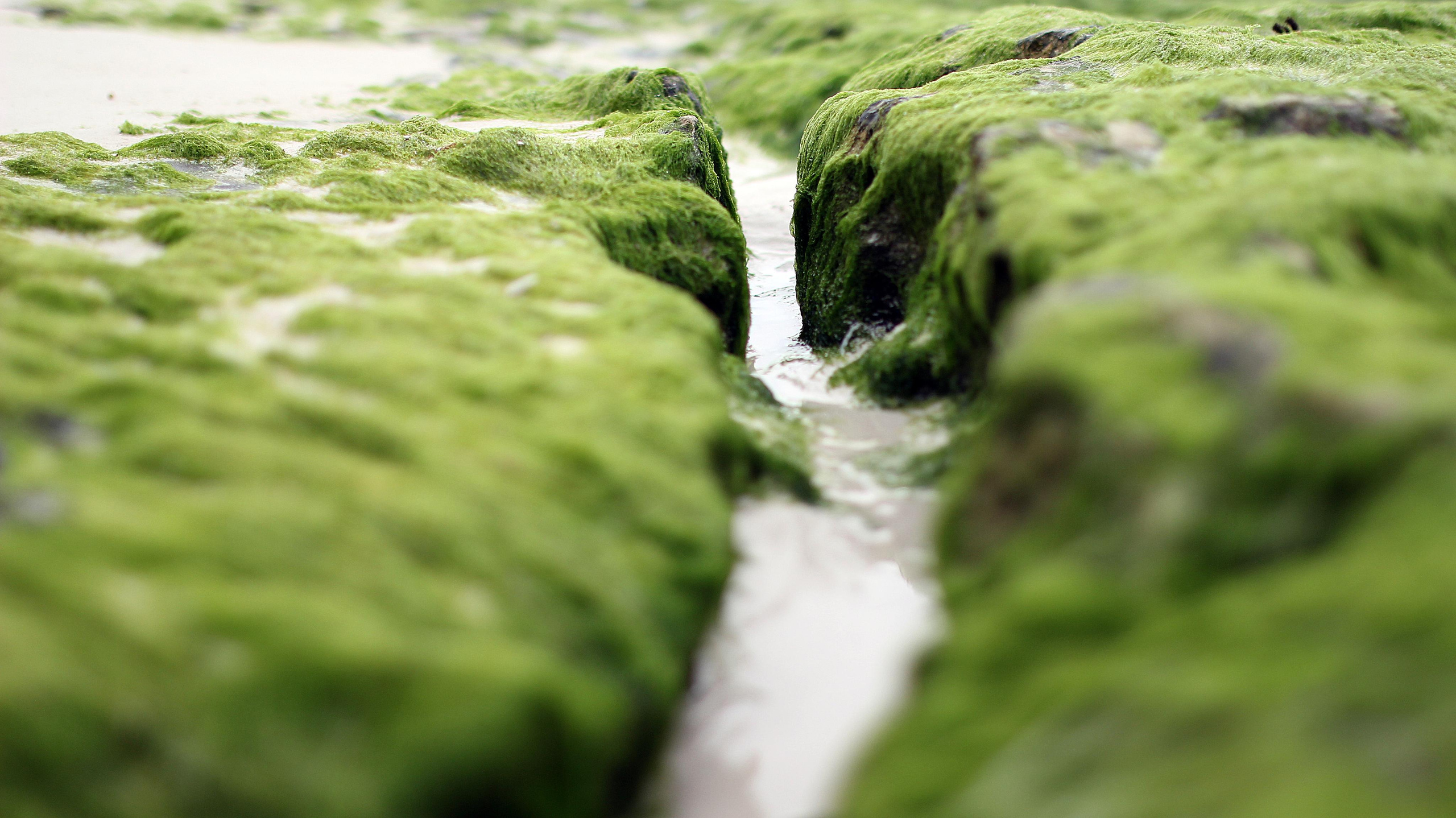 Mexico. Детский и семейный фотограф Малых Ольга г. Салехард