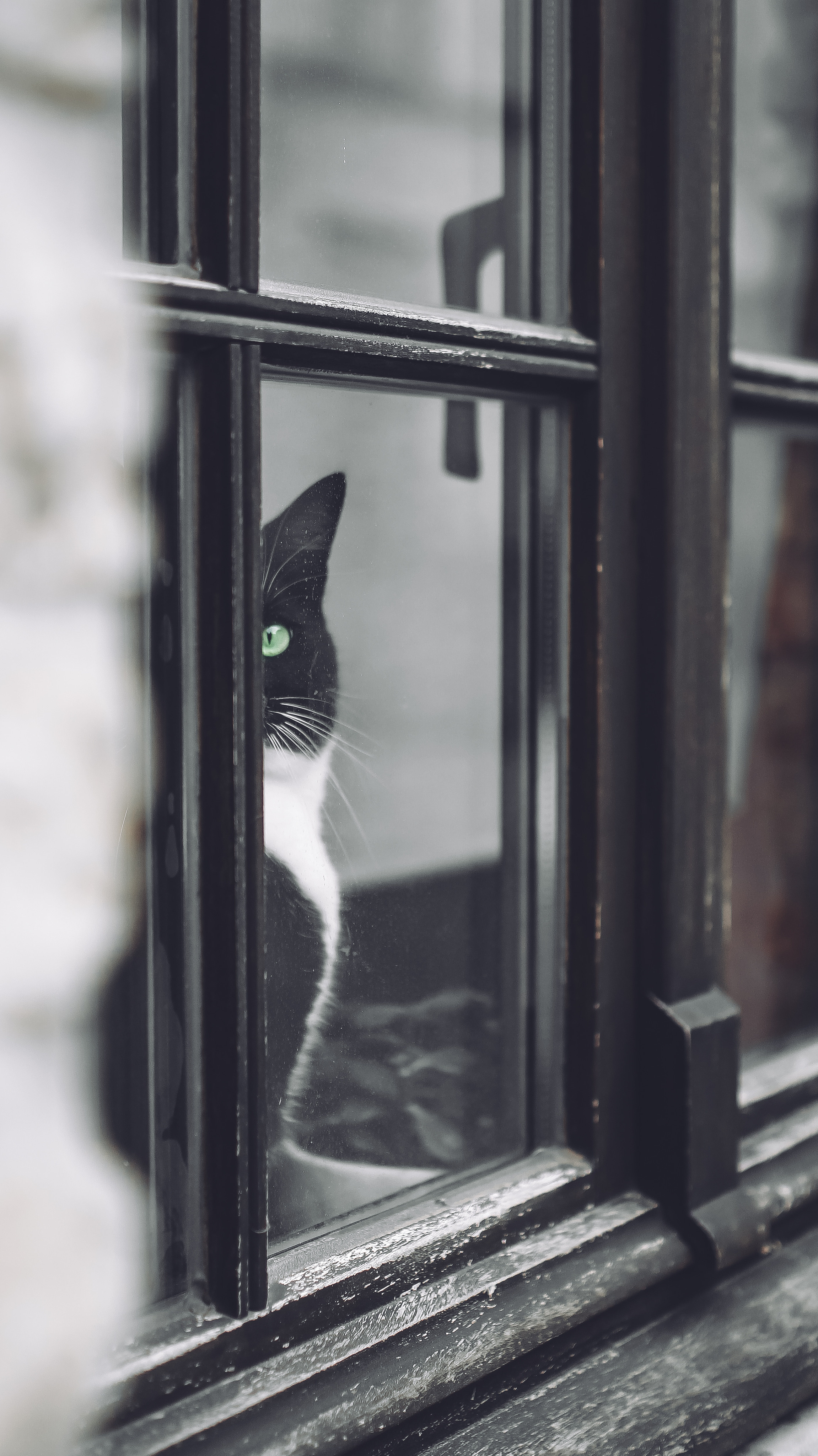 Немо-33. Детский и семейный фотограф Малых Ольга г. Салехард