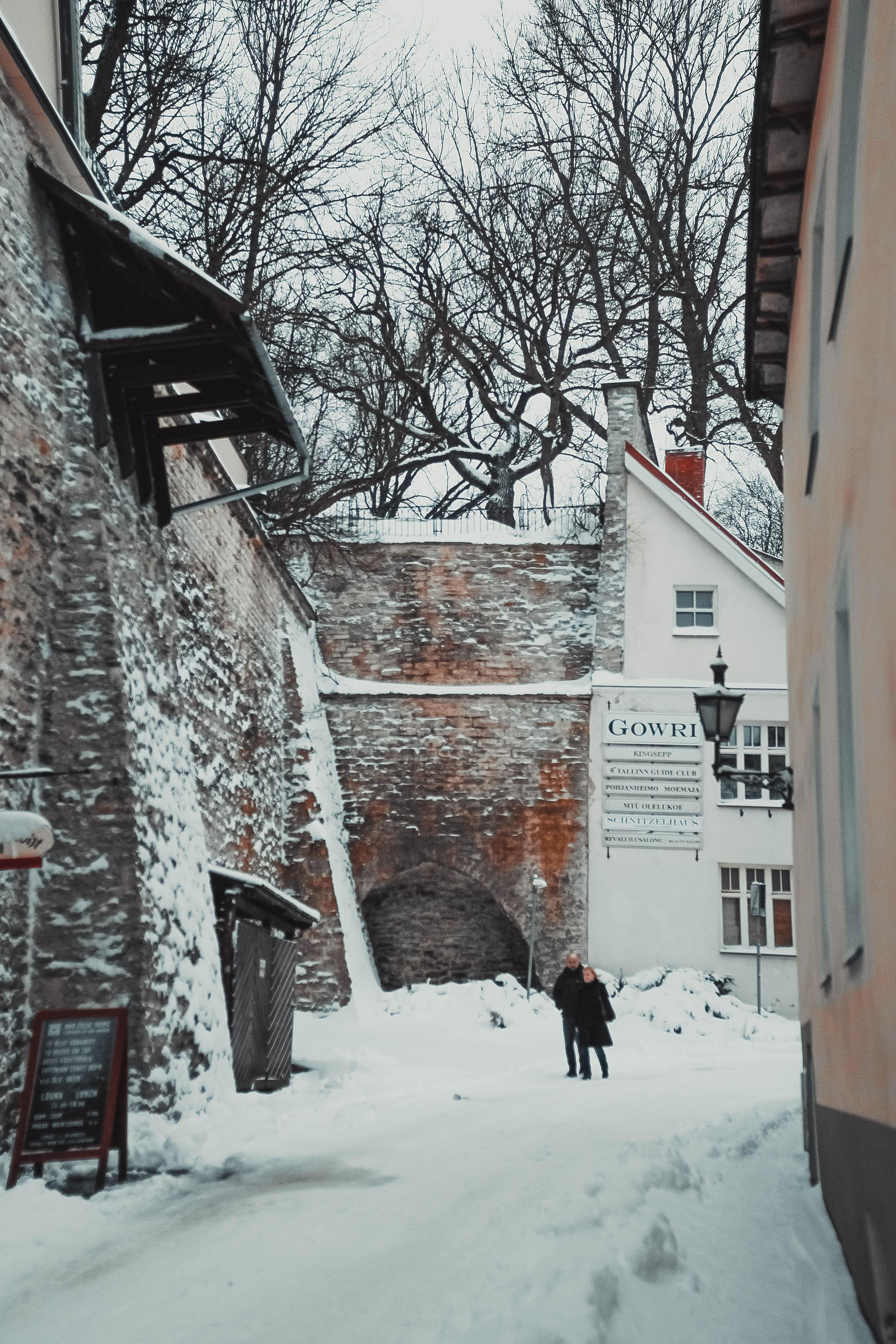 Эстония. Детский и семейный фотограф Малых Ольга г. Салехард