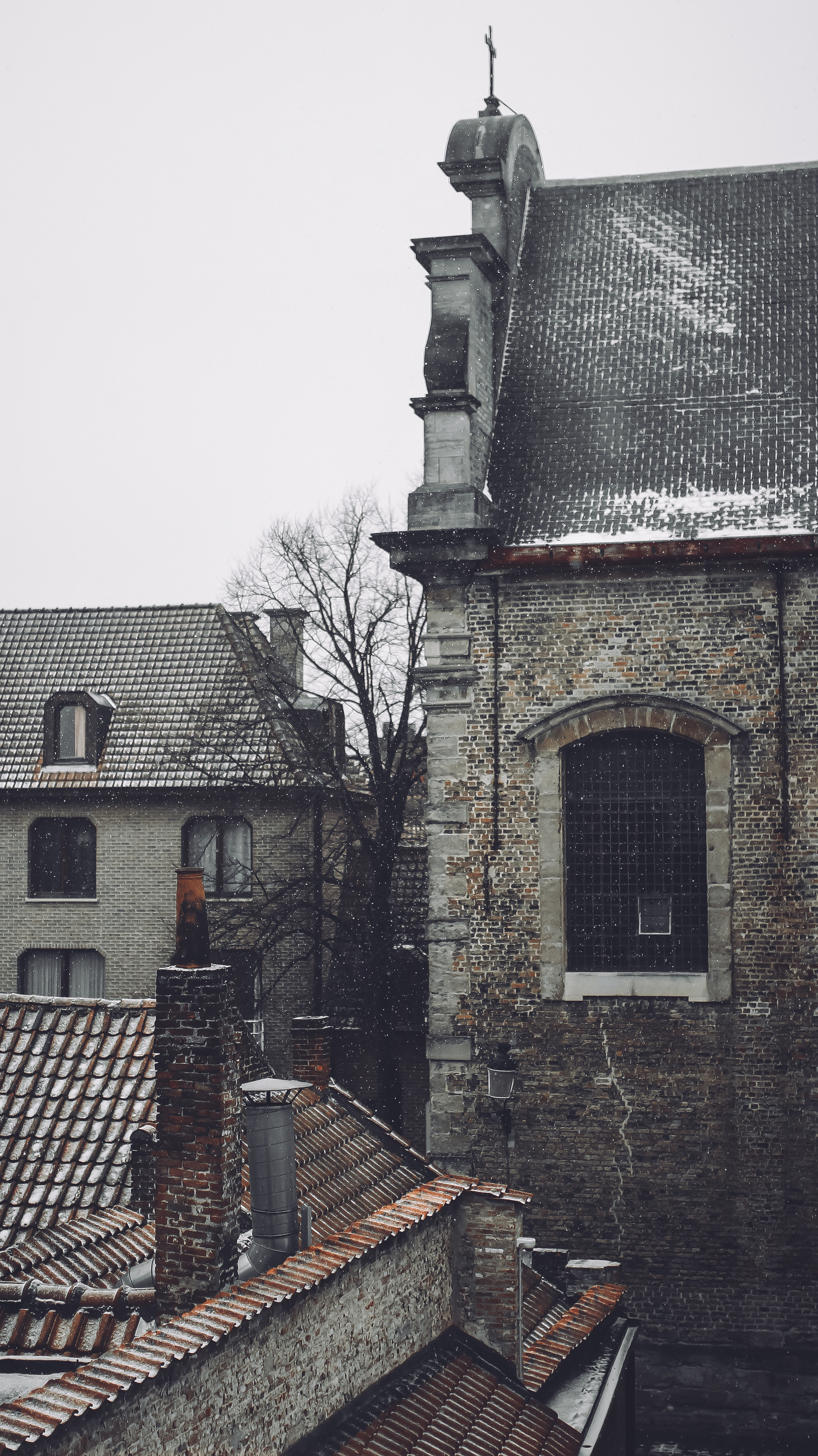 Немо-33. Детский и семейный фотограф Малых Ольга г. Салехард