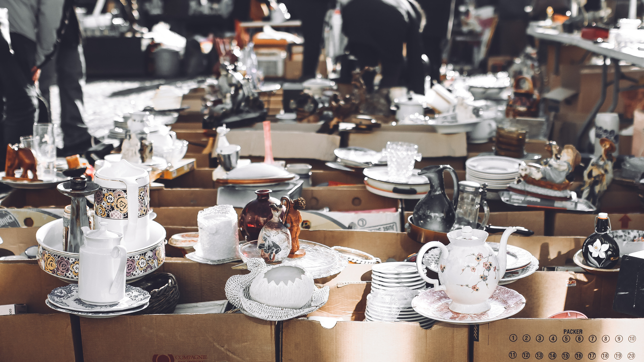 Немо-33. Детский и семейный фотограф Малых Ольга г. Салехард