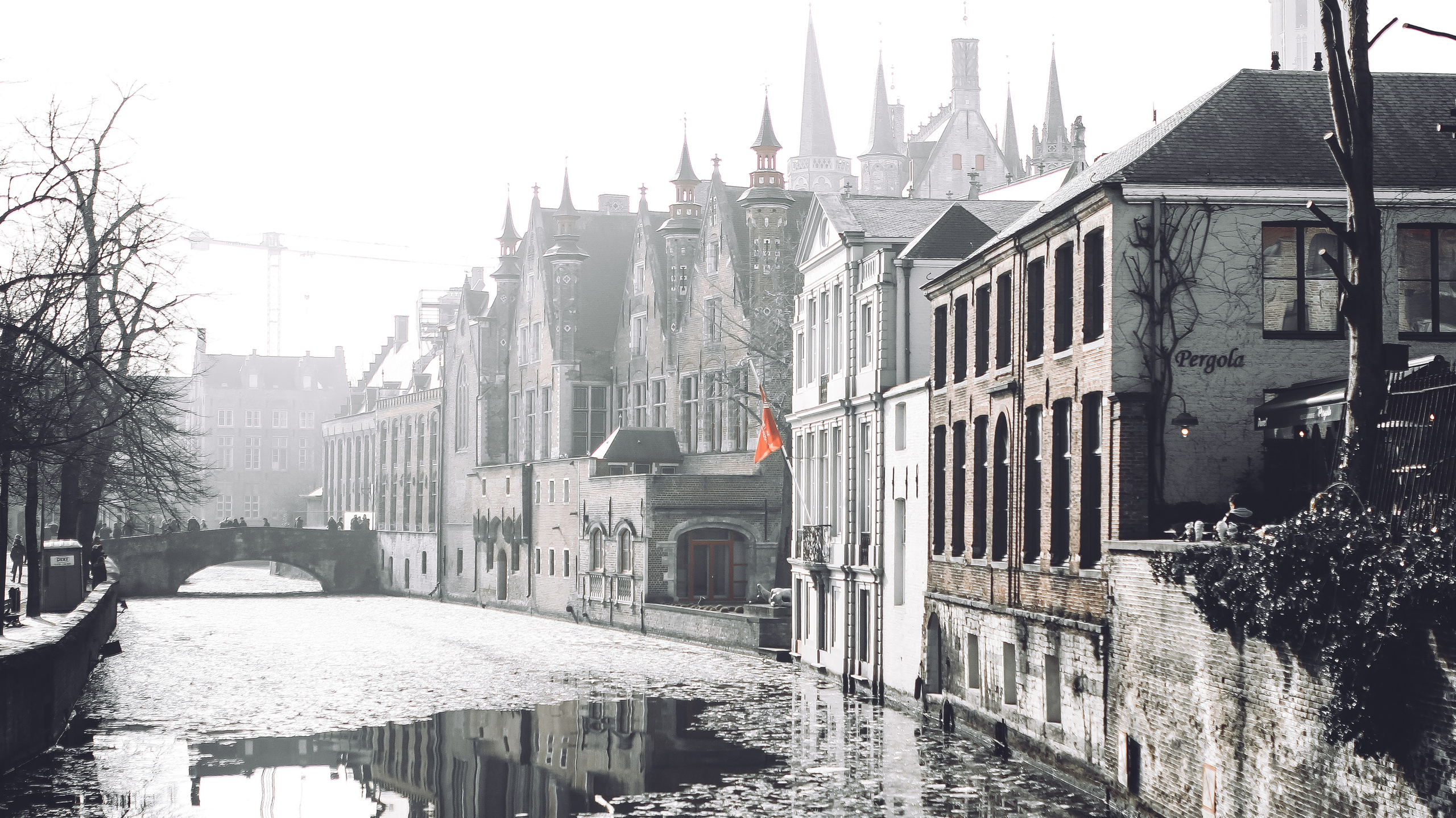 Немо-33. Детский и семейный фотограф Малых Ольга г. Салехард