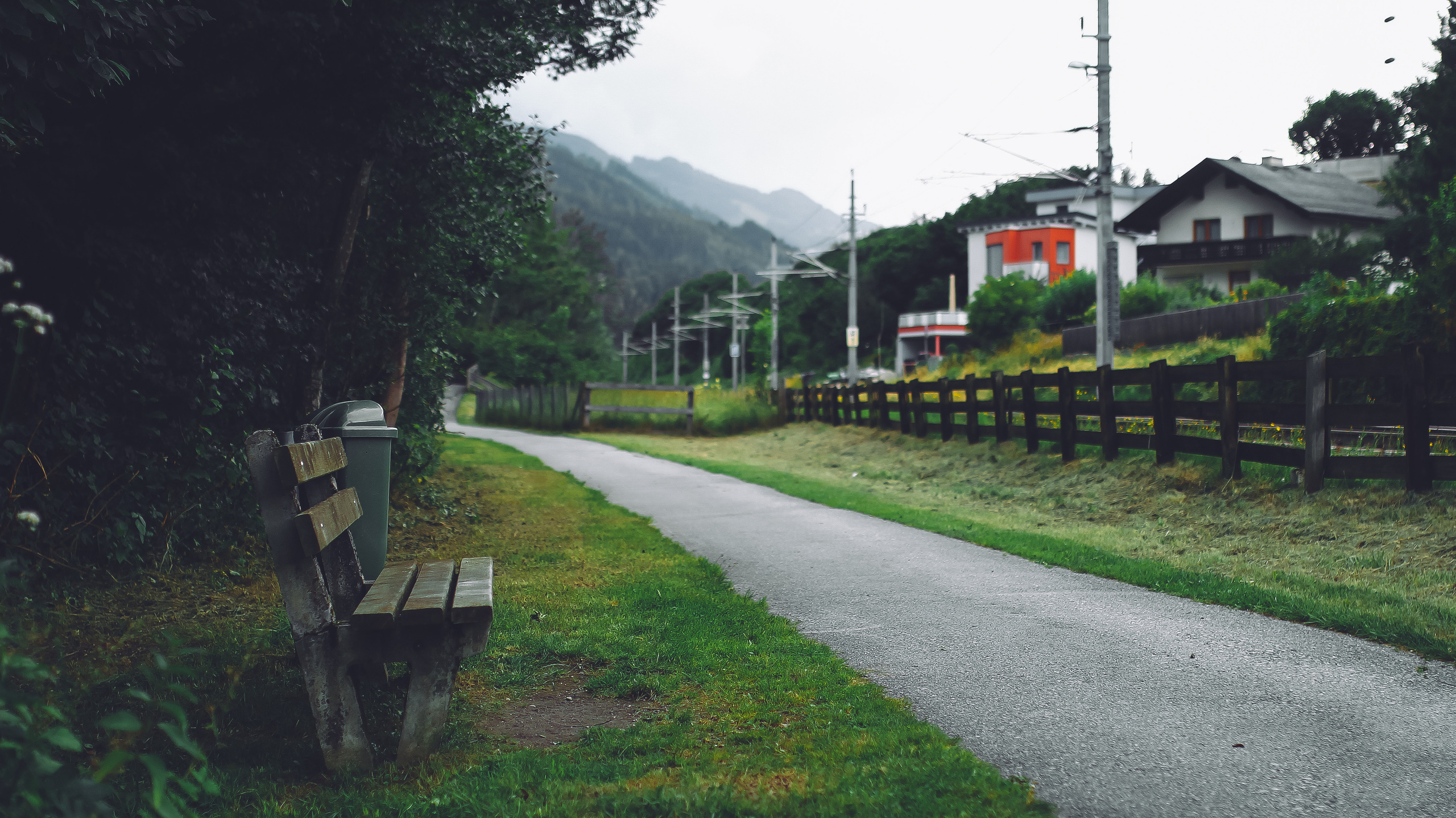 «Белое золото» альпийских гор. Детский и семейный фотограф Малых Ольга г. Салехард