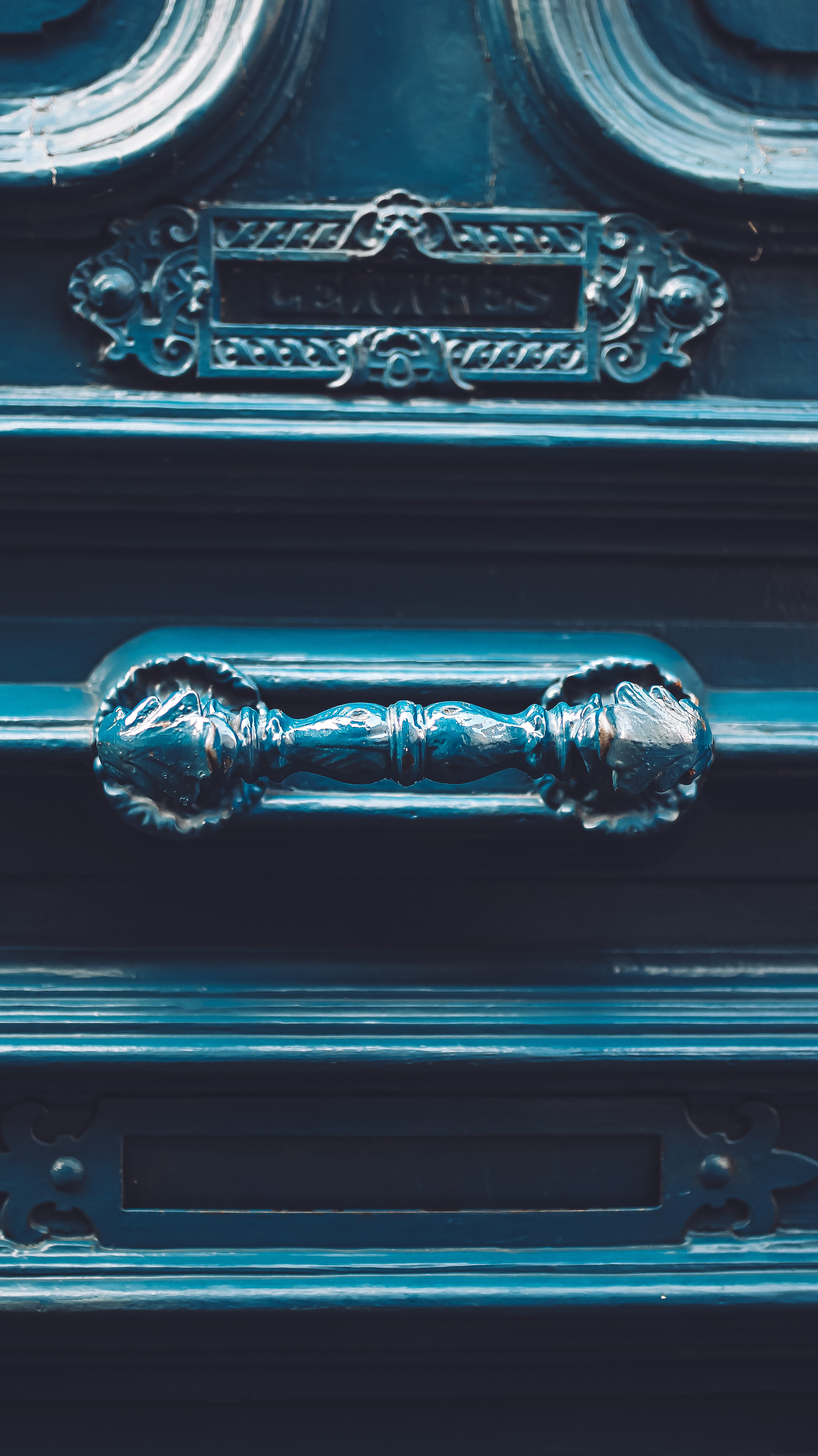 Немо-33. Детский и семейный фотограф Малых Ольга г. Салехард