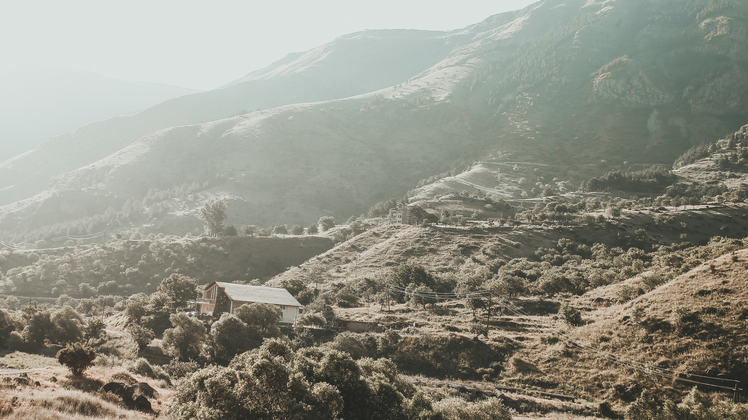 Гамарджоба генацвале. Детский и семейный фотограф Малых Ольга г. Салехард
