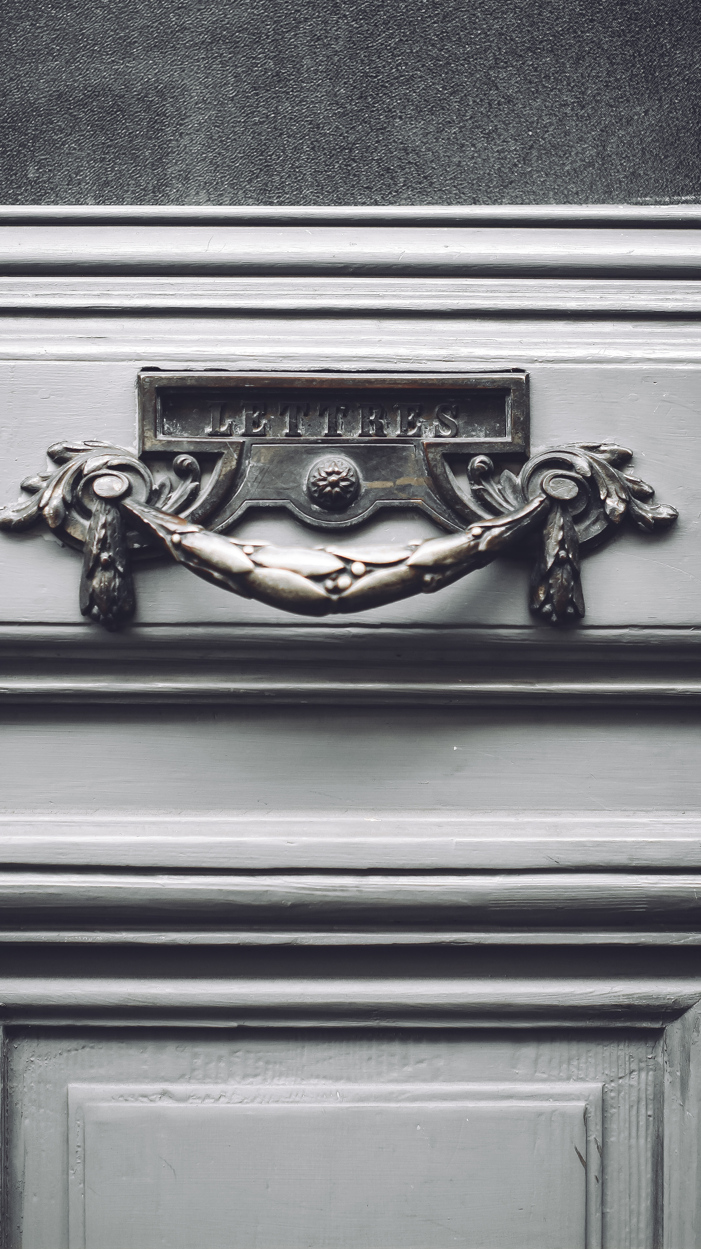 Немо-33. Детский и семейный фотограф Малых Ольга г. Салехард