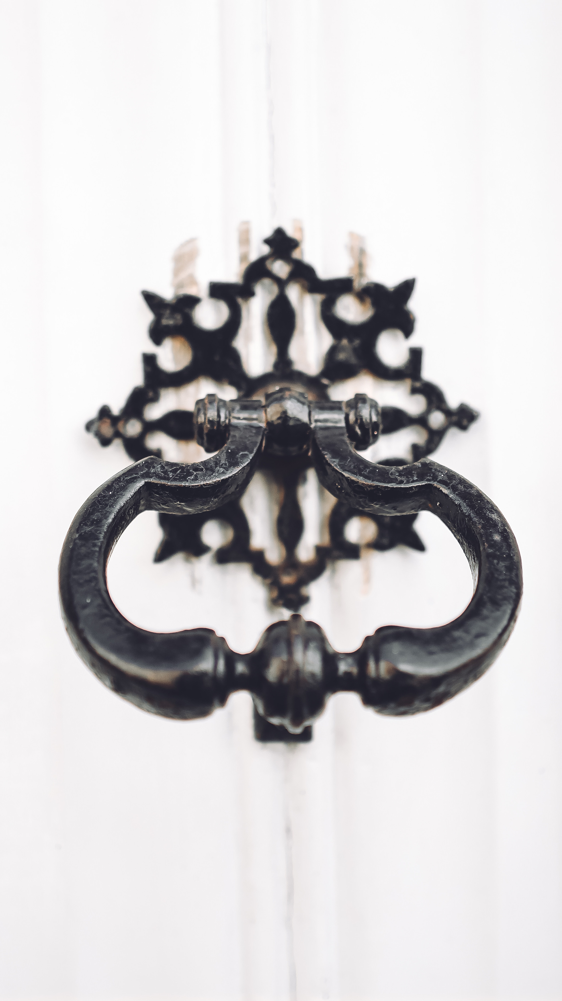 Немо-33. Детский и семейный фотограф Малых Ольга г. Салехард